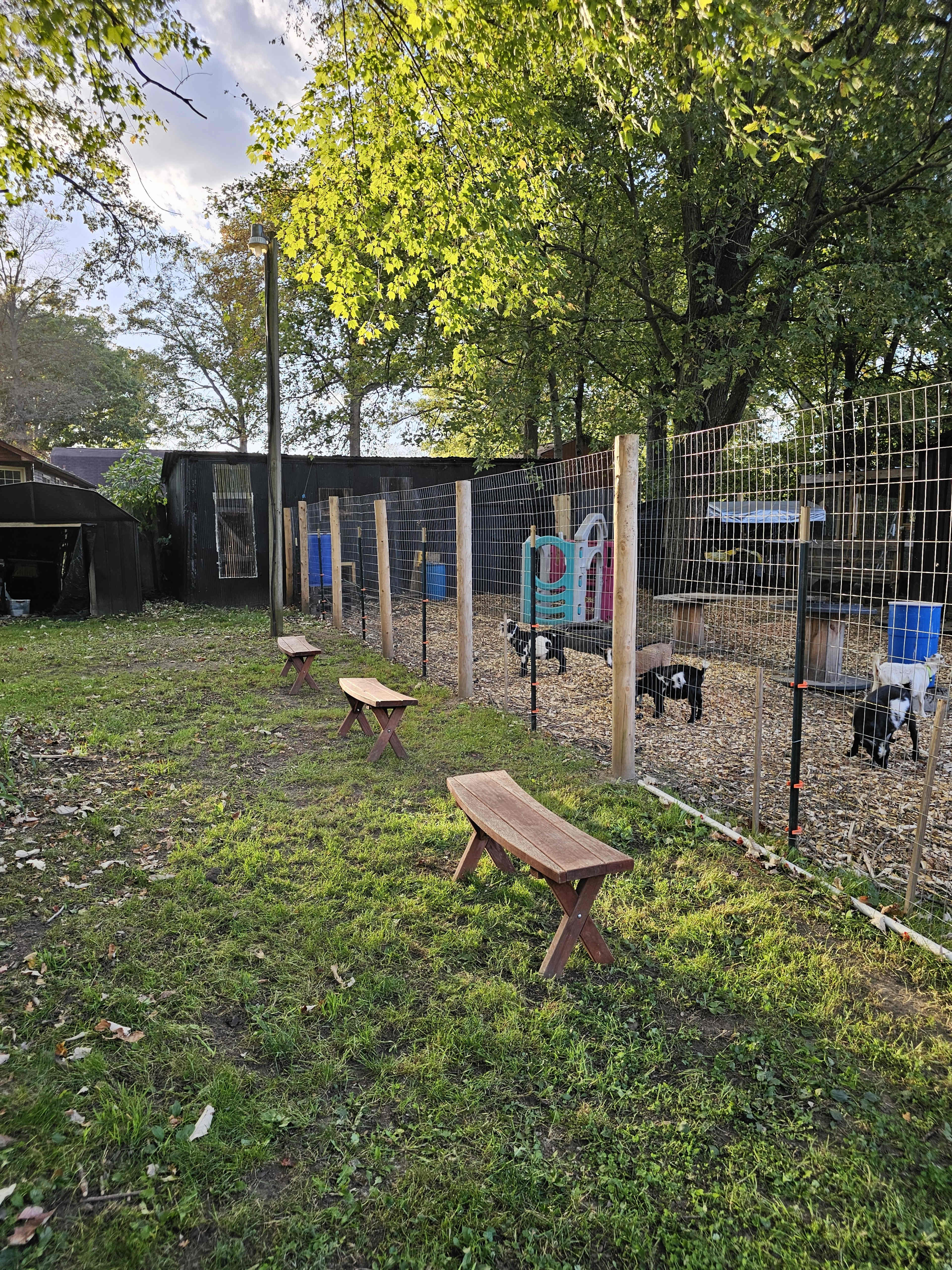 The image shows a fenced outdoor area with benches and various play equipment for animals.