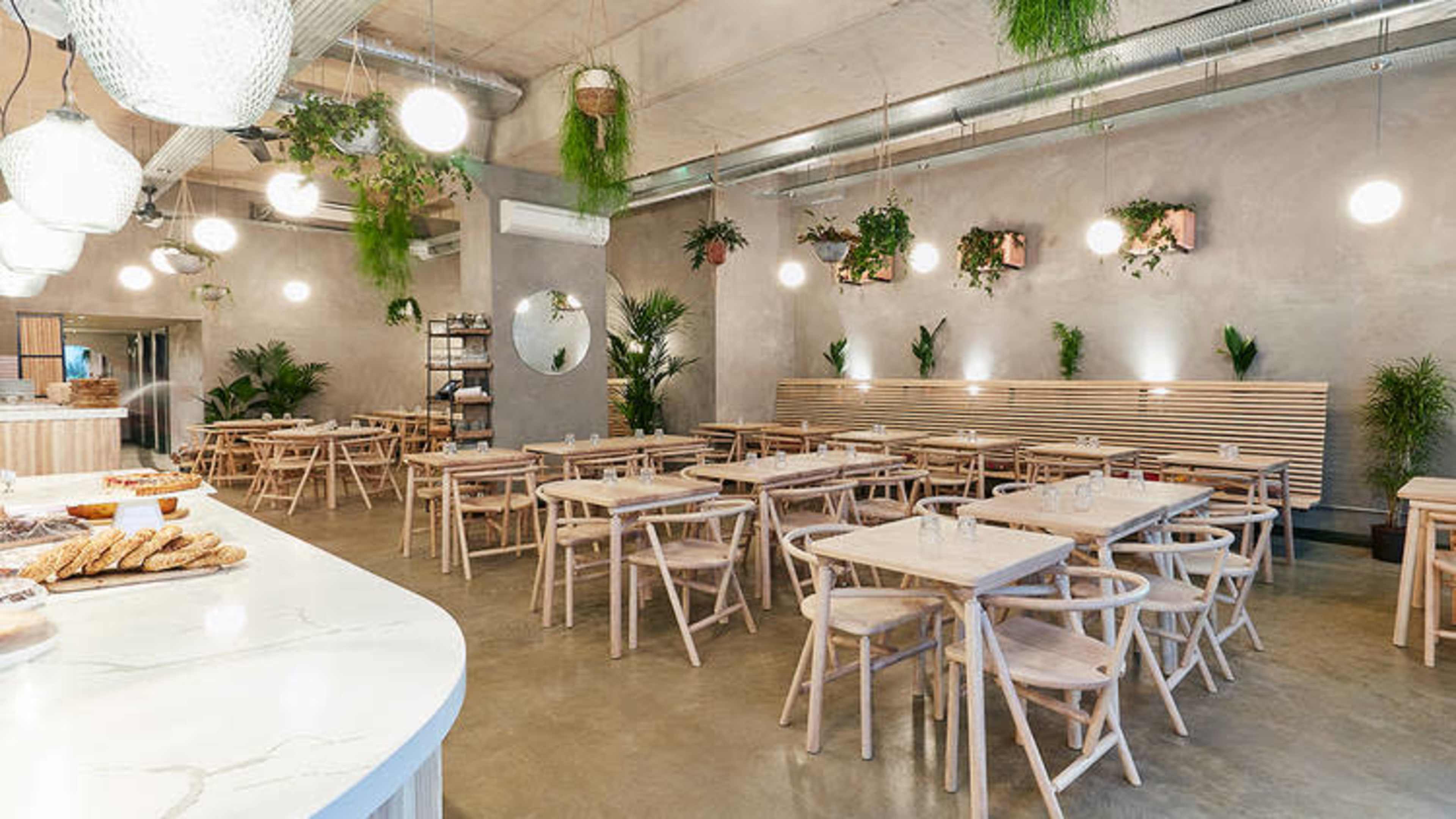 The image shows a modern, minimalist restaurant interior with wooden tables and chairs, pendant lighting, and indoor plants decorating the walls.