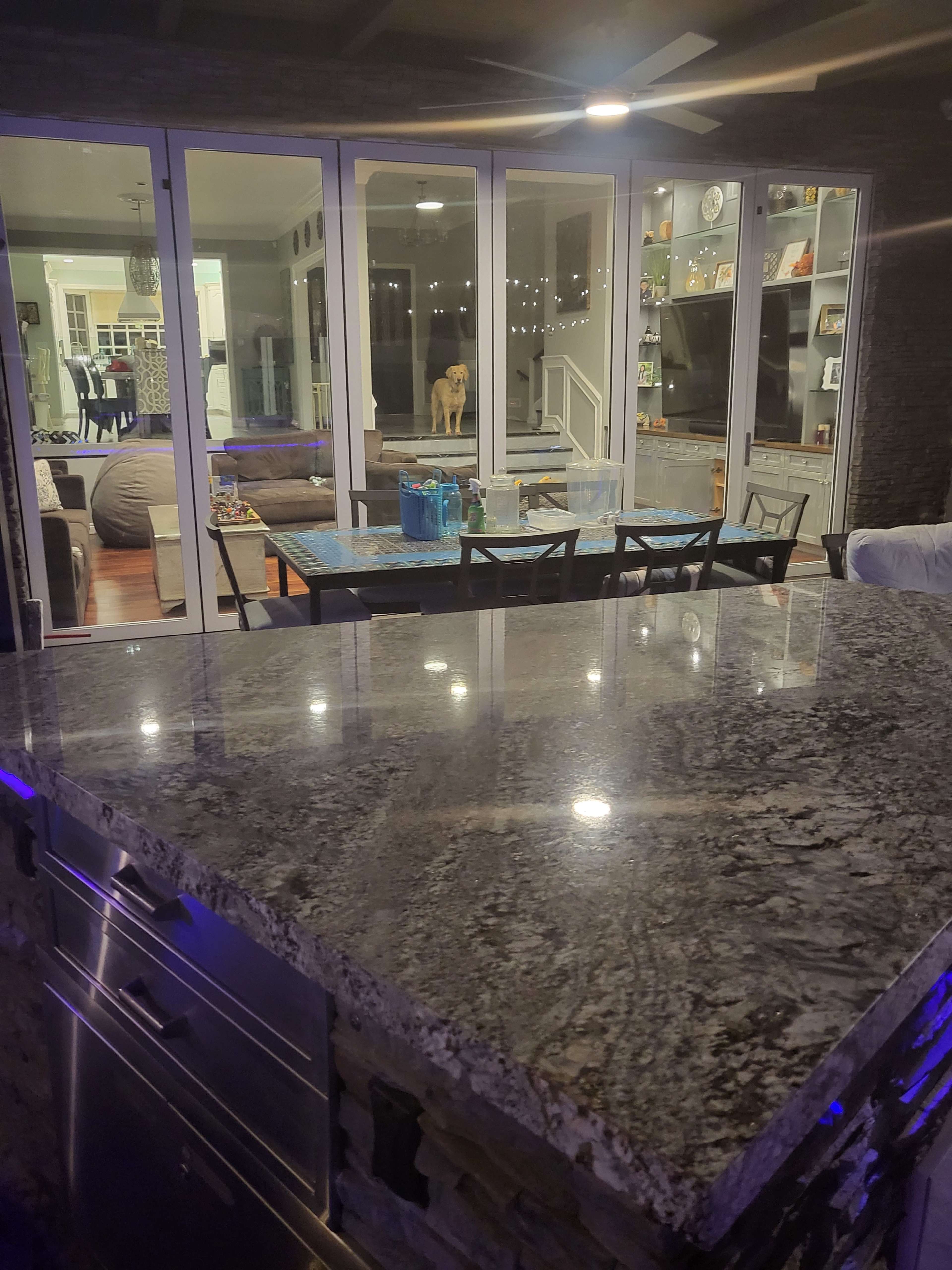 A kitchen countertop with a granite surface overlooking a spacious room with large glass doors, where a dog stands near a table.