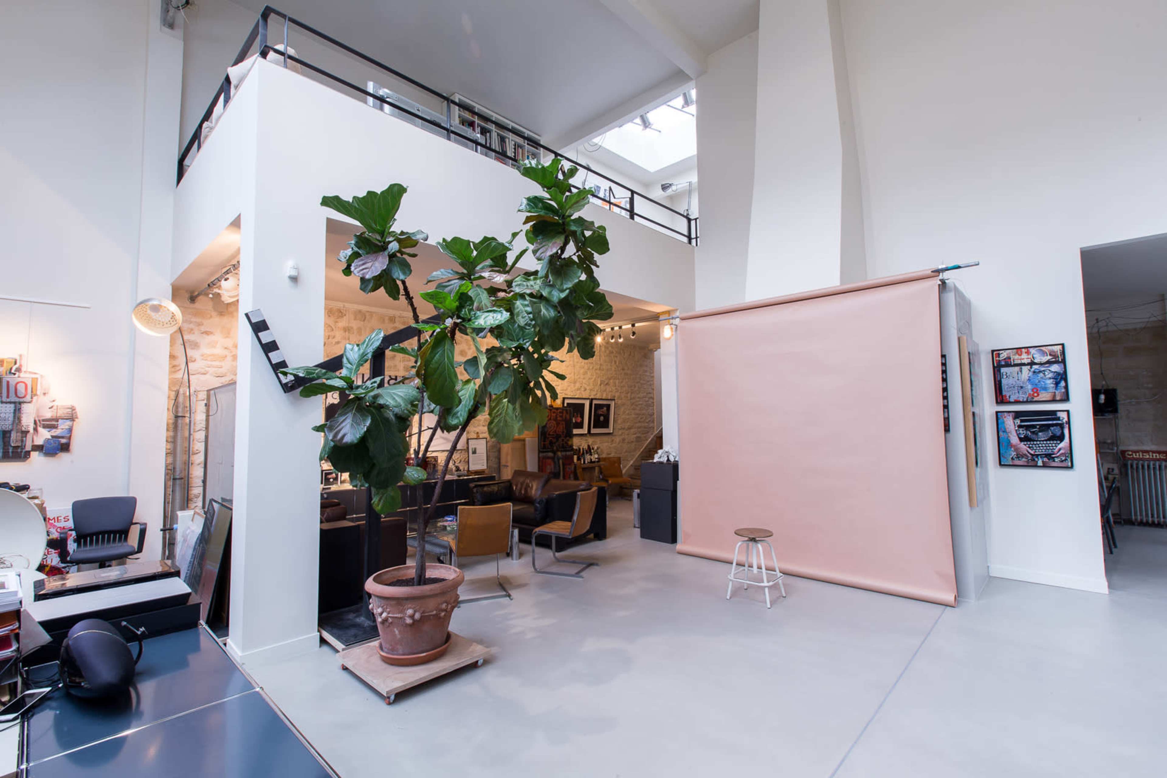 A spacious, modern interior with a potted plant, a seating area, and a backdrop for photography.