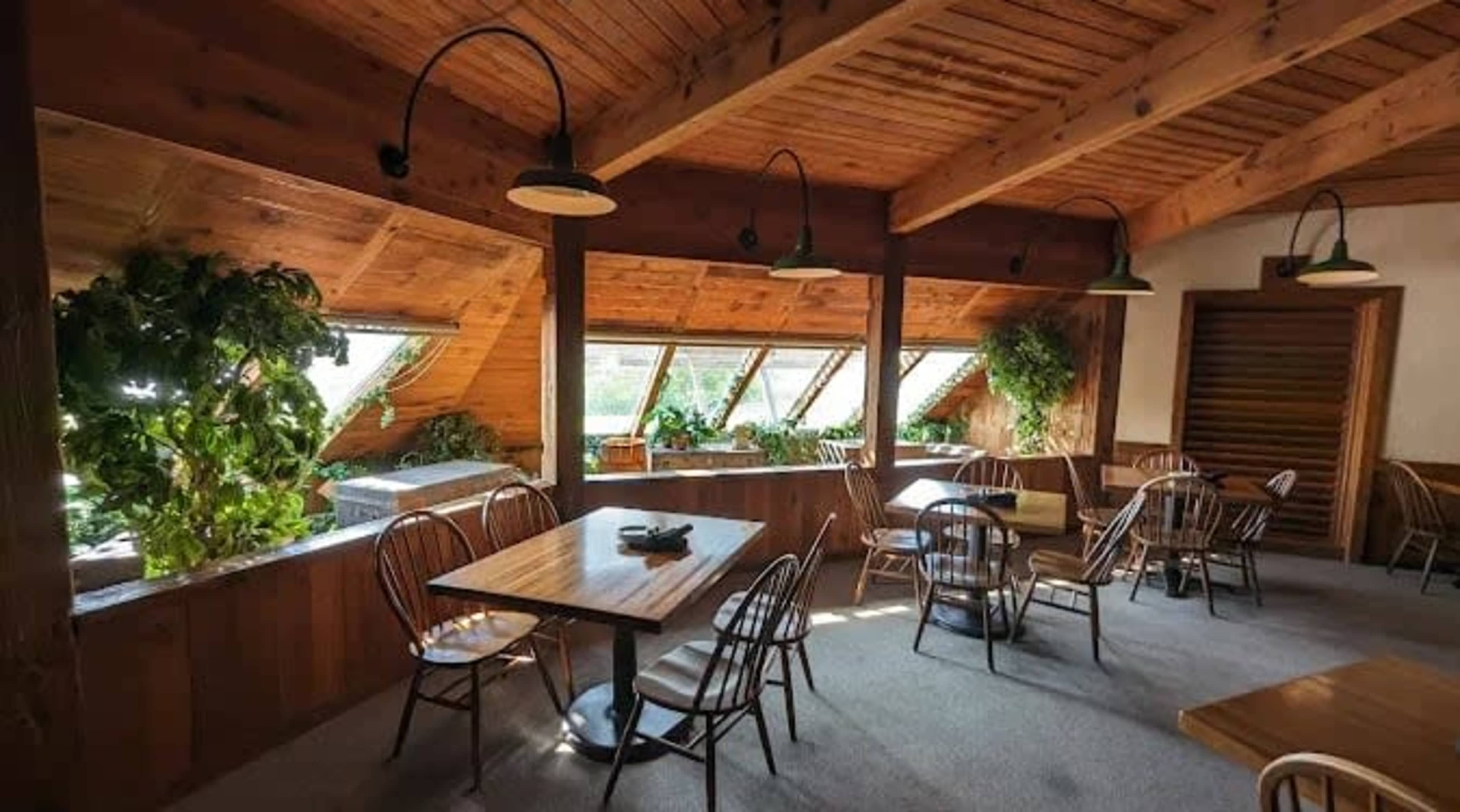The image shows a cozy restaurant interior with wooden beams, large windows for natural light, and tables surrounded by greenery.