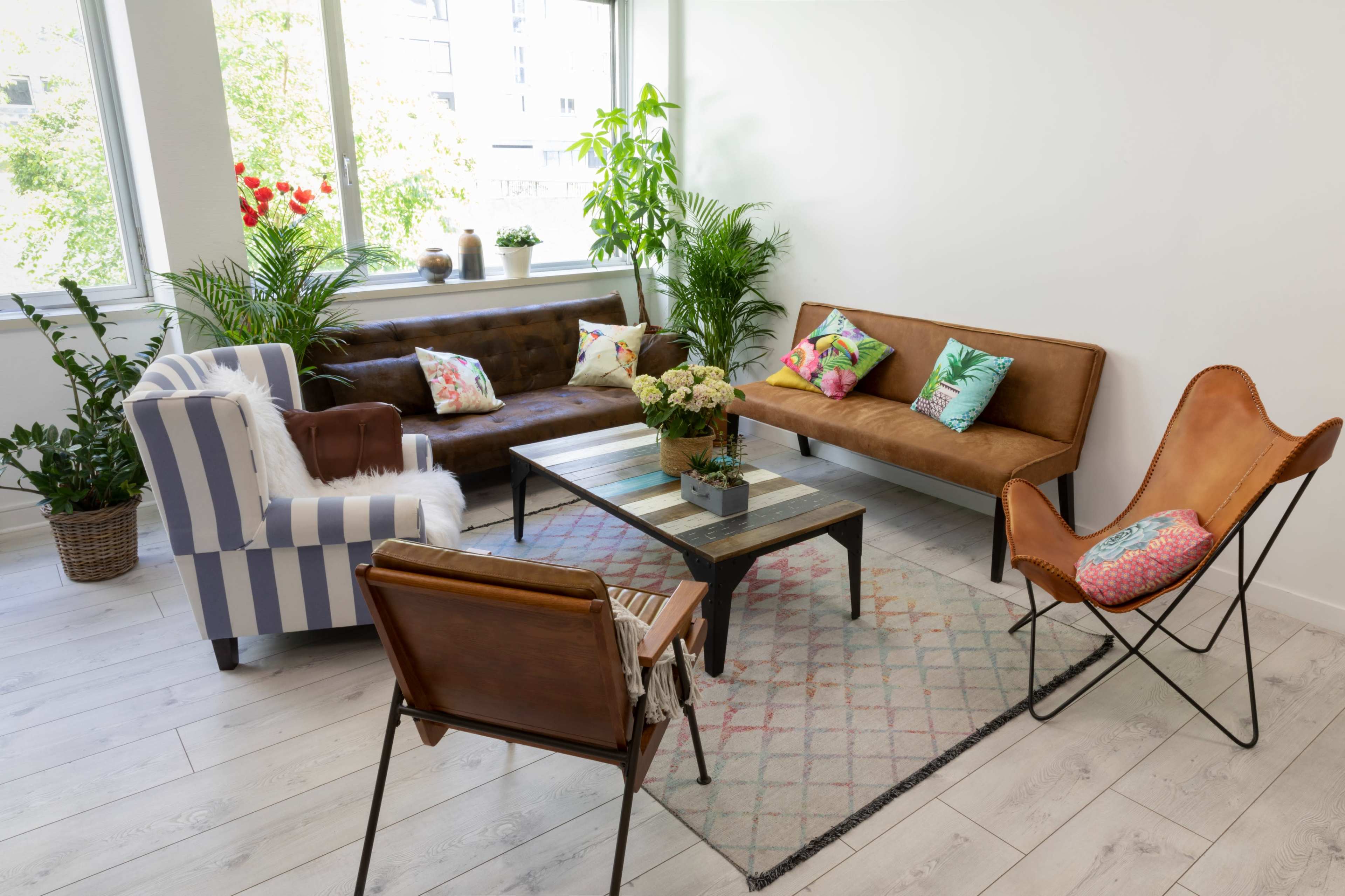 The image shows a bright living room featuring a mix of seating options, including two sofas, an armchair, and a coffee table, surrounded by various indoor plants.