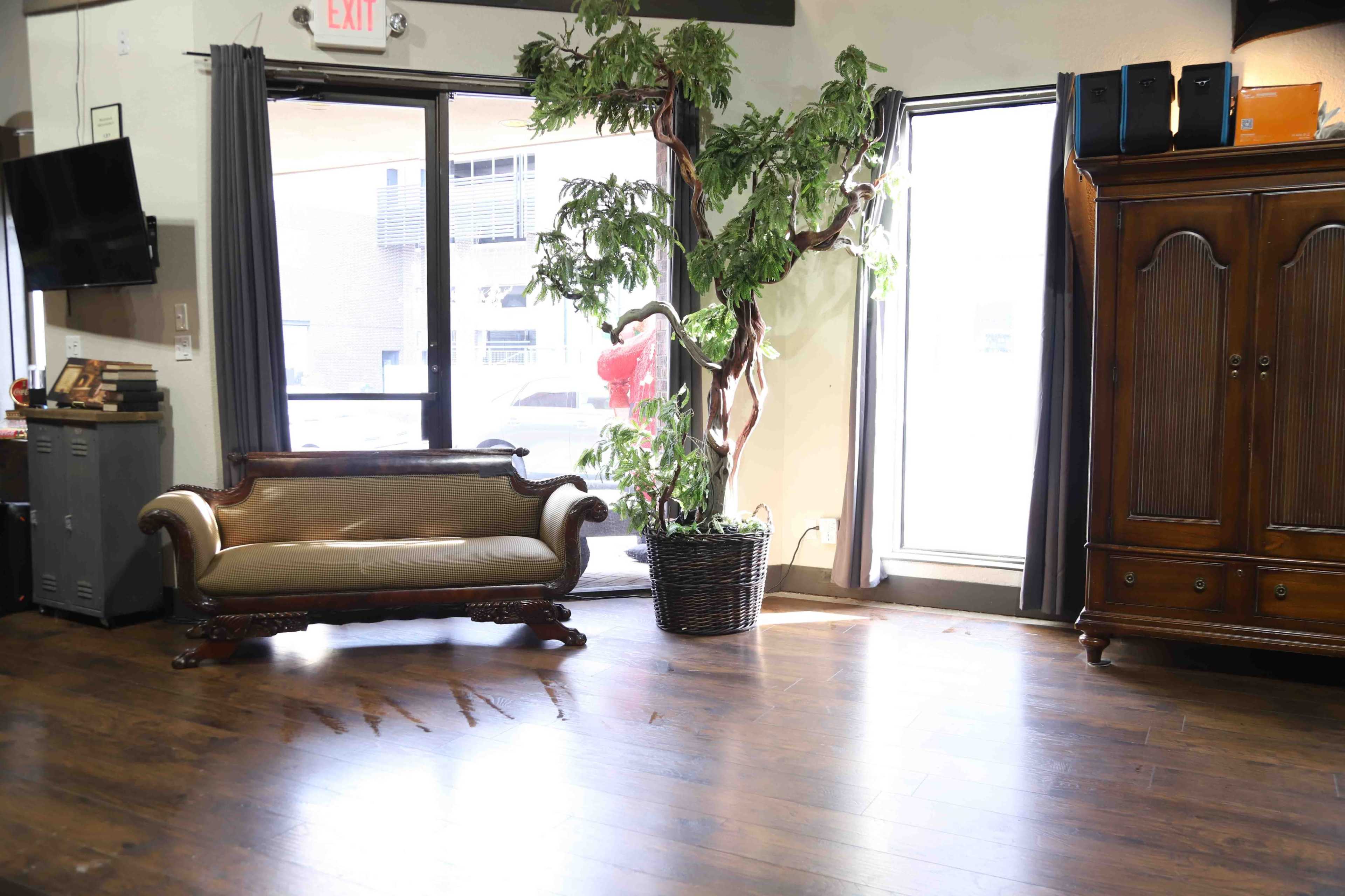 A green potted plant stands next to a couch in a well-lit room with wooden flooring.