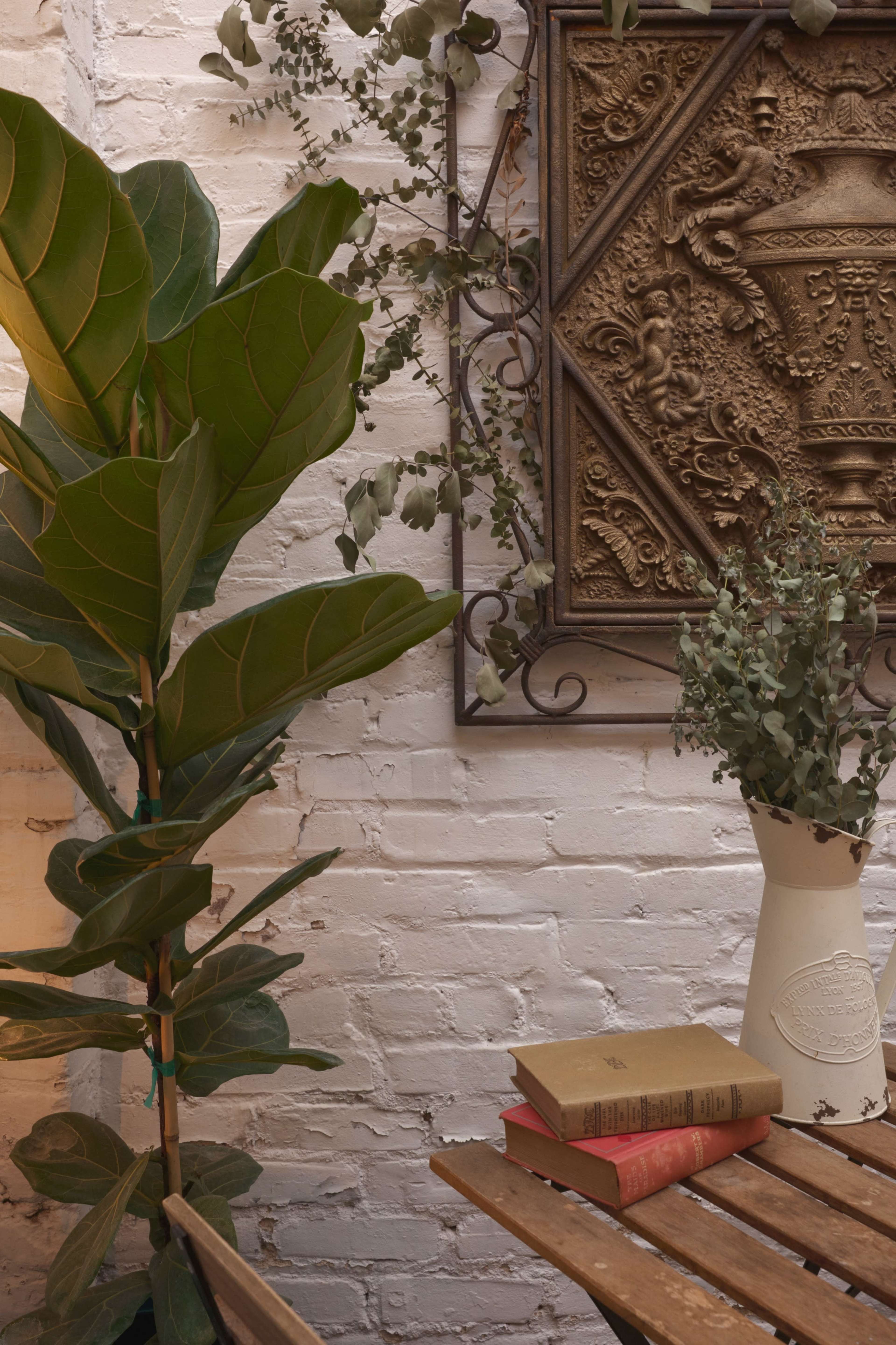 The scene features a corner of a room with a fiddle leaf fig plant, a decorative wall panel, and a wooden table stacked with books and a vase containing foliage.