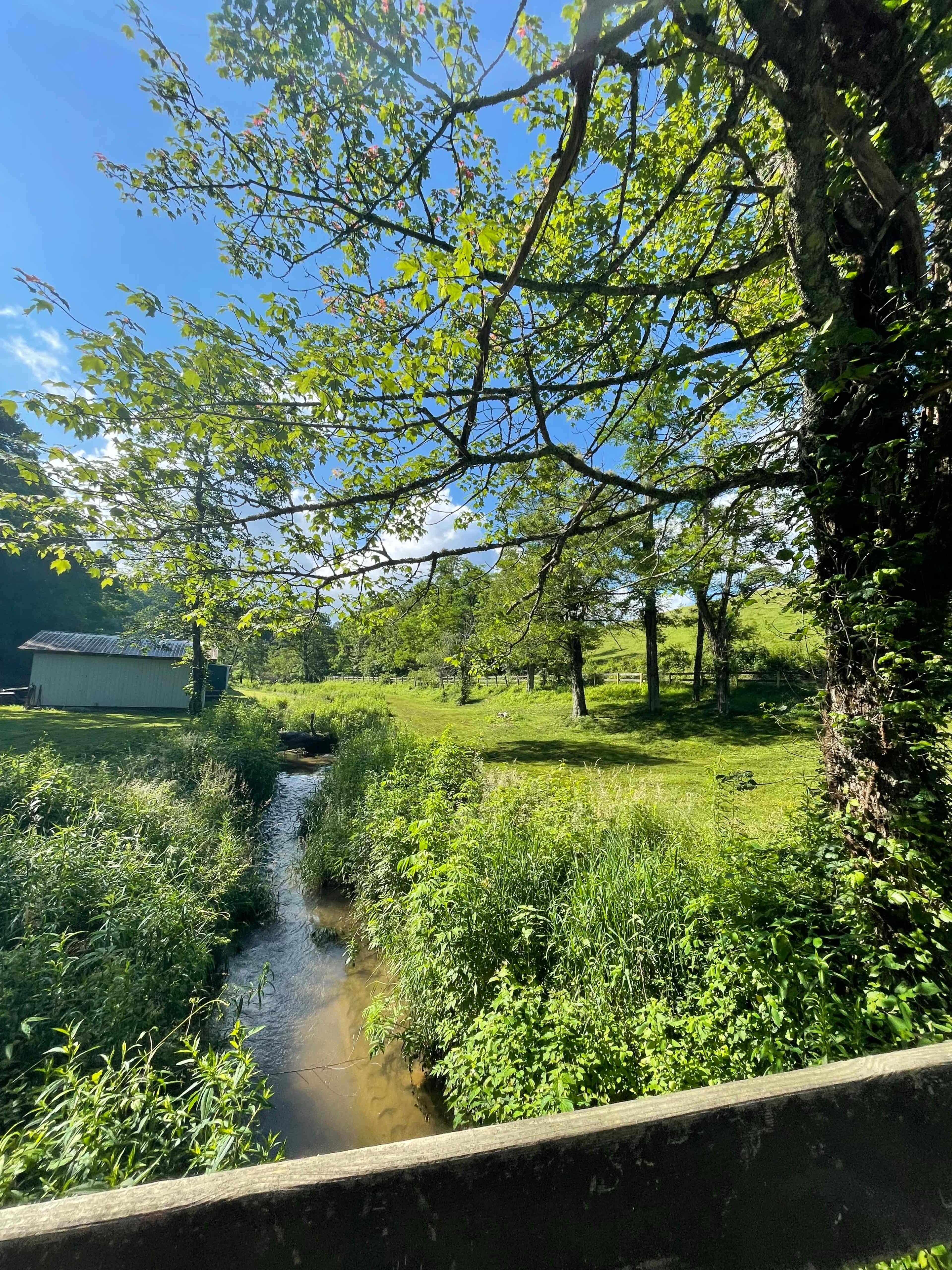 Pastoral Acreage with Creek, Barn, Pond, Waterfall Image in , Scaly Mountain, NC