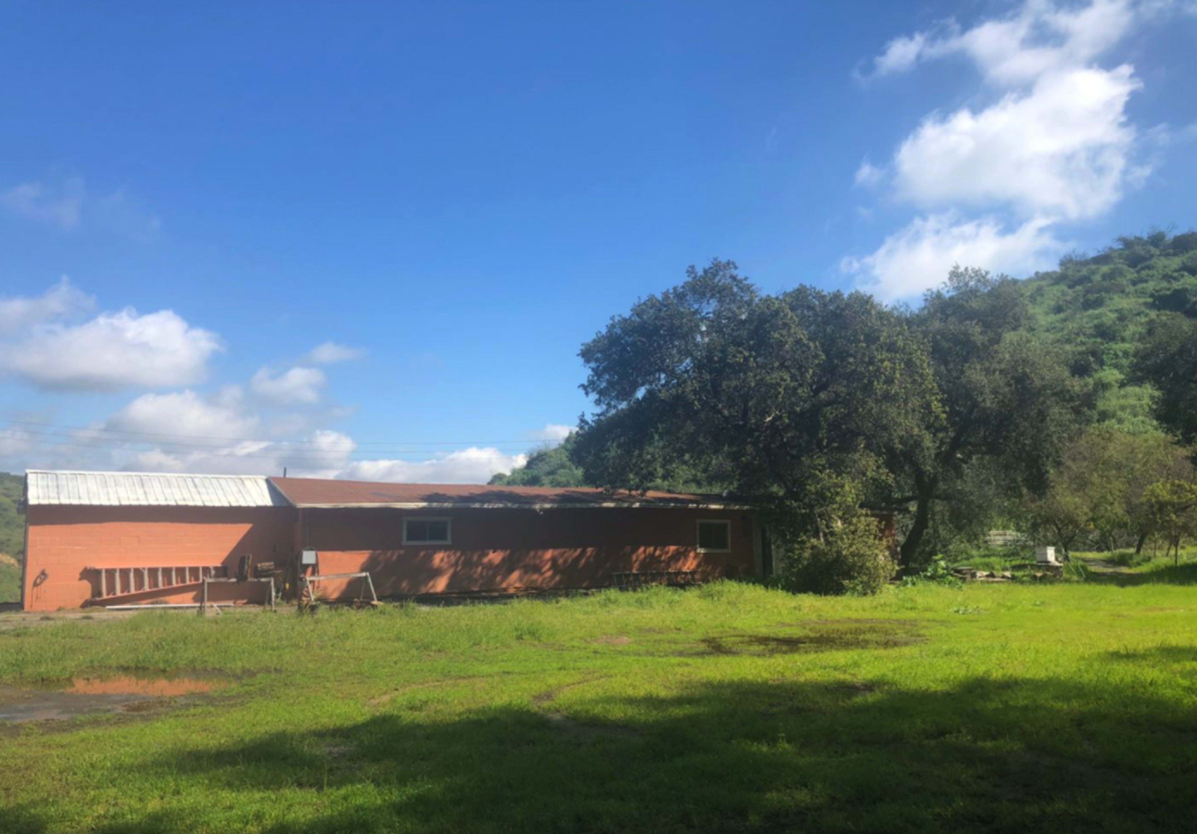 A red brick building is situated next to a large tree in a grassy field under a blue sky with scattered clouds.