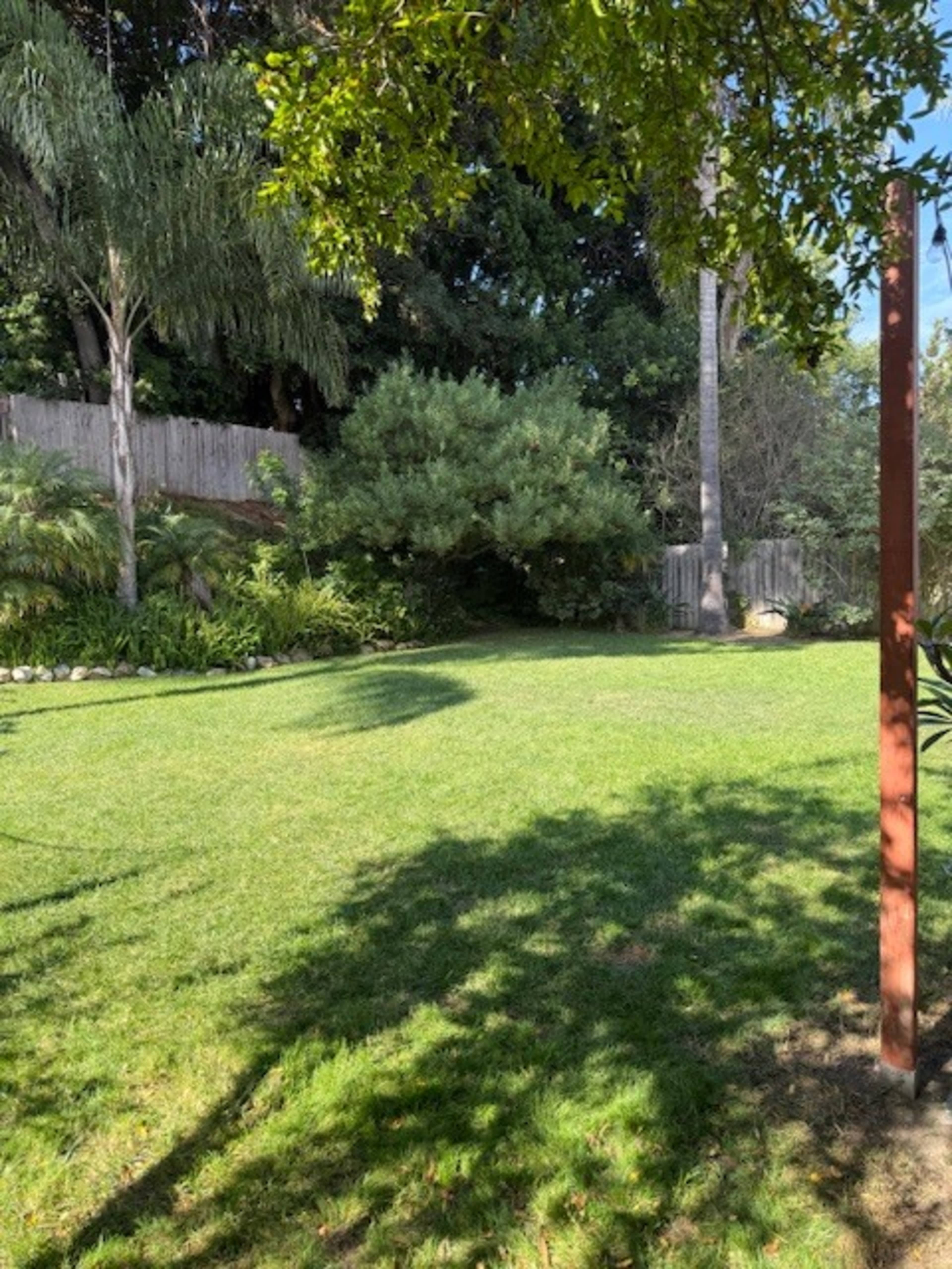 Verdant Green Backyard with palm trees, grass, and privacy! Image in Del Mar Heights, Del Mar, CA
