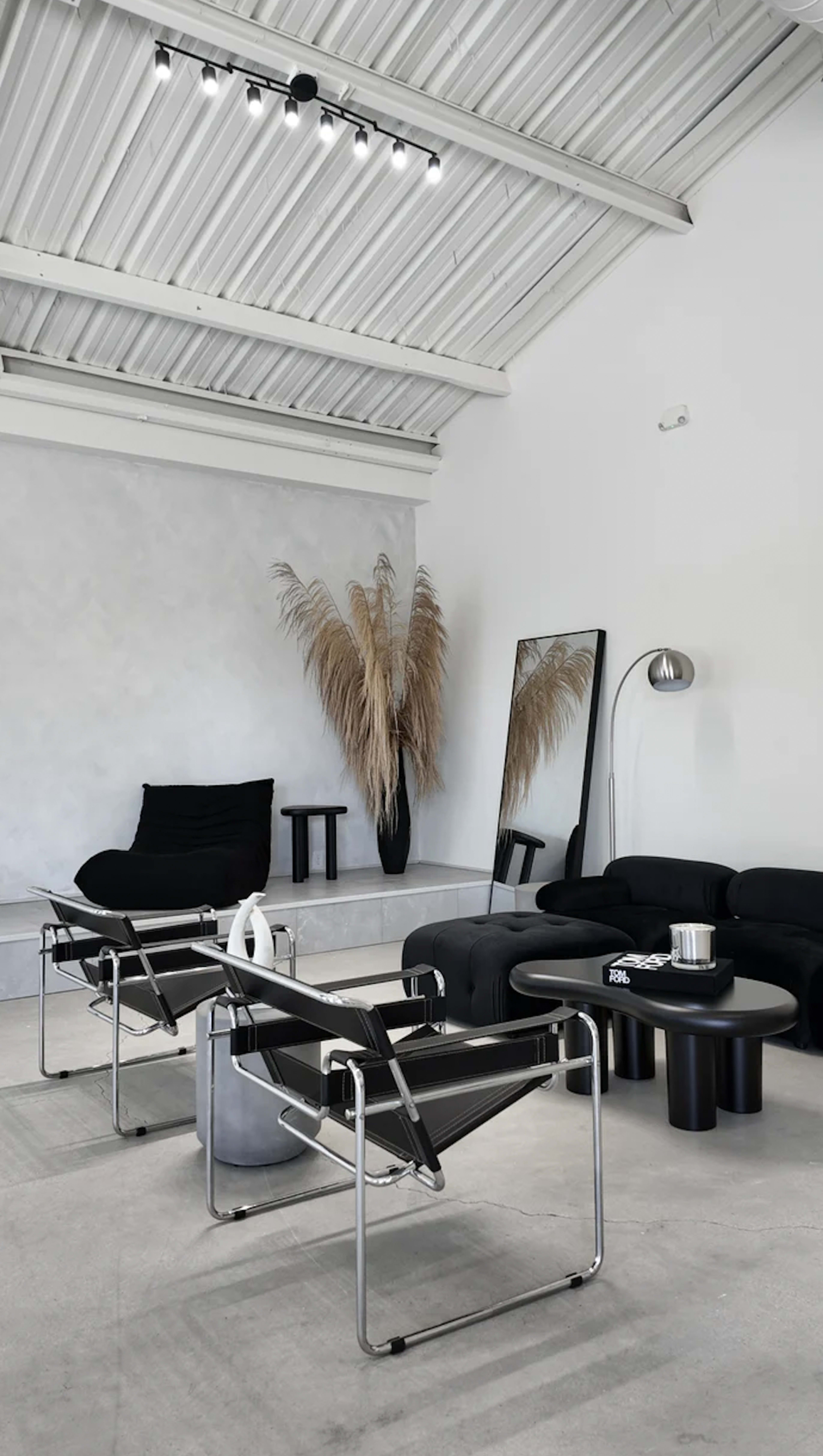 The scene shows a modern living space featuring black furniture, a tall plant in a corner, and large mirrors against a light-colored wall.