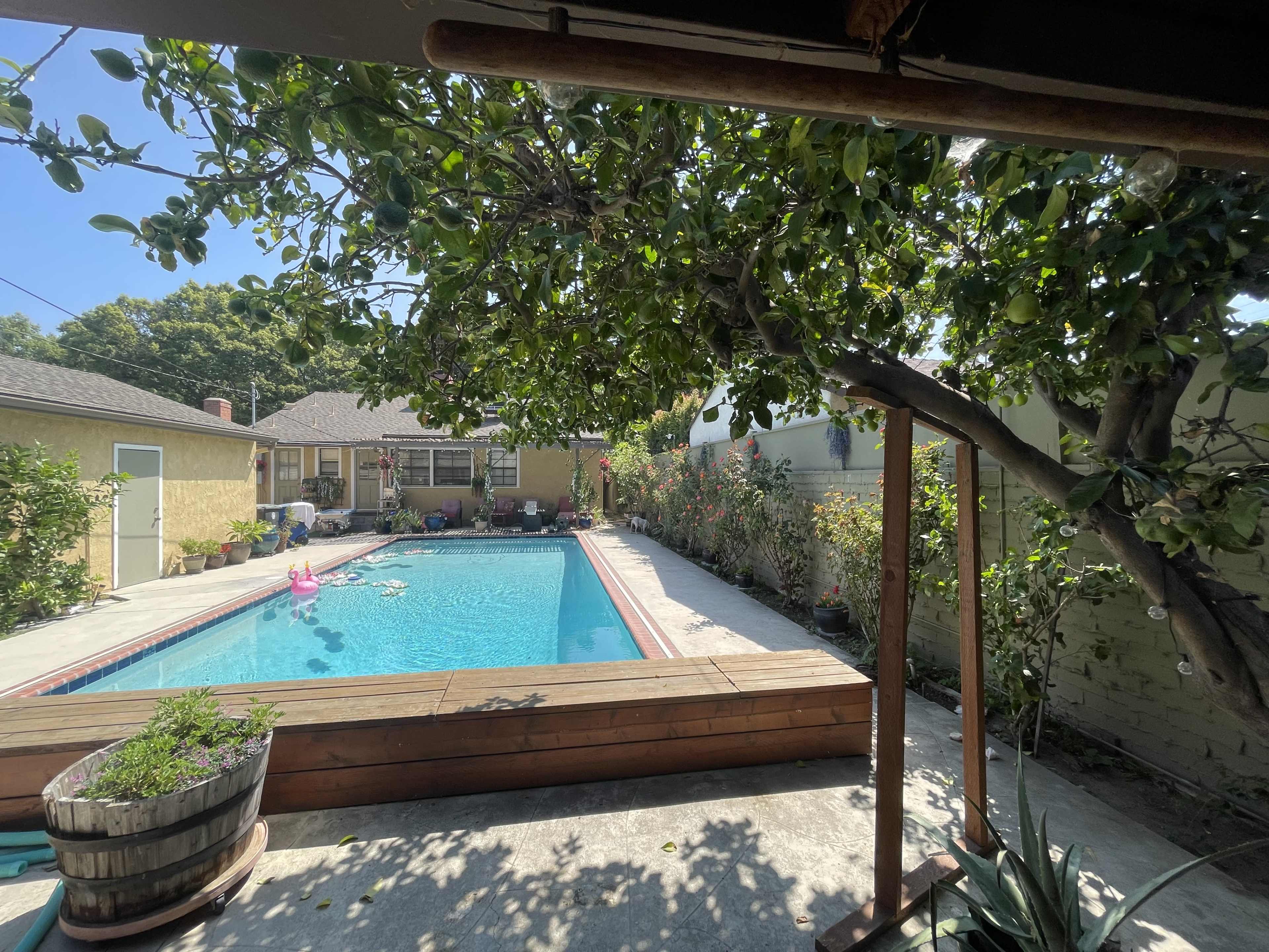 The image shows a backyard pool surrounded by plants and flowers, with a wooden deck in the foreground.