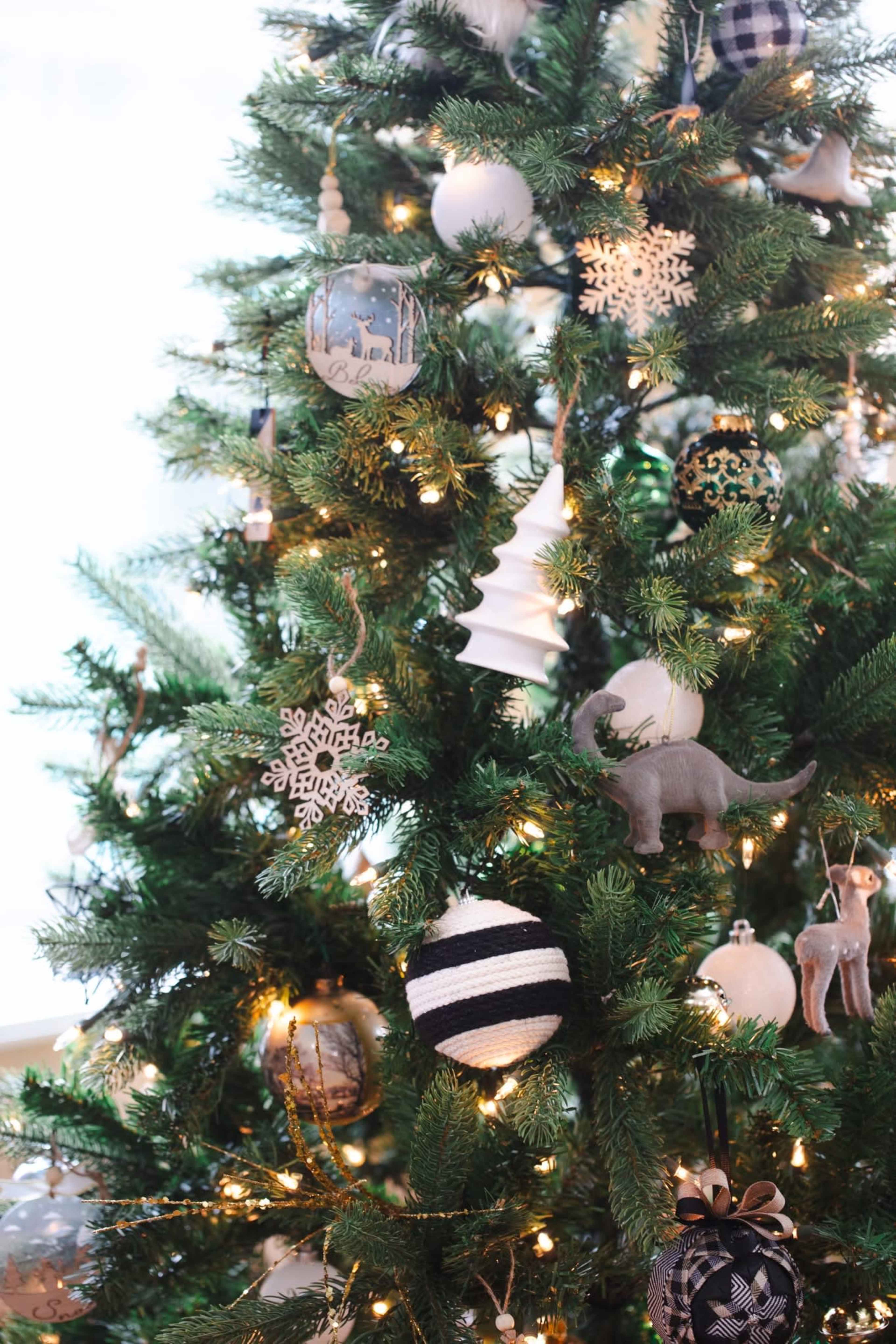 Downtown Studio Space in Heart Of Old Town Image in Berea, Berea, KY