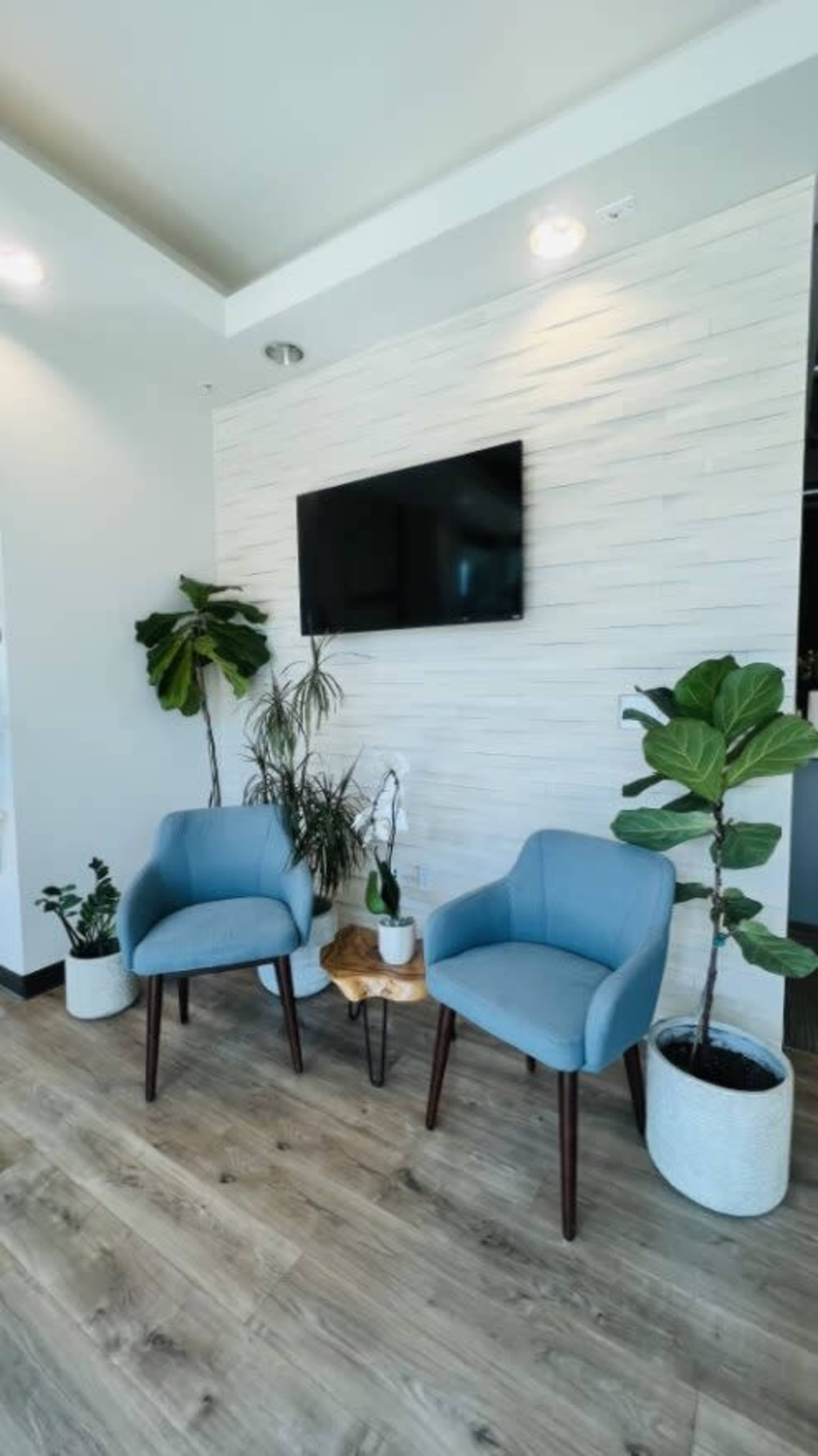 A modern seating area featuring two blue chairs, a small wooden side table, and various indoor plants against a textured wall with a mounted television.
