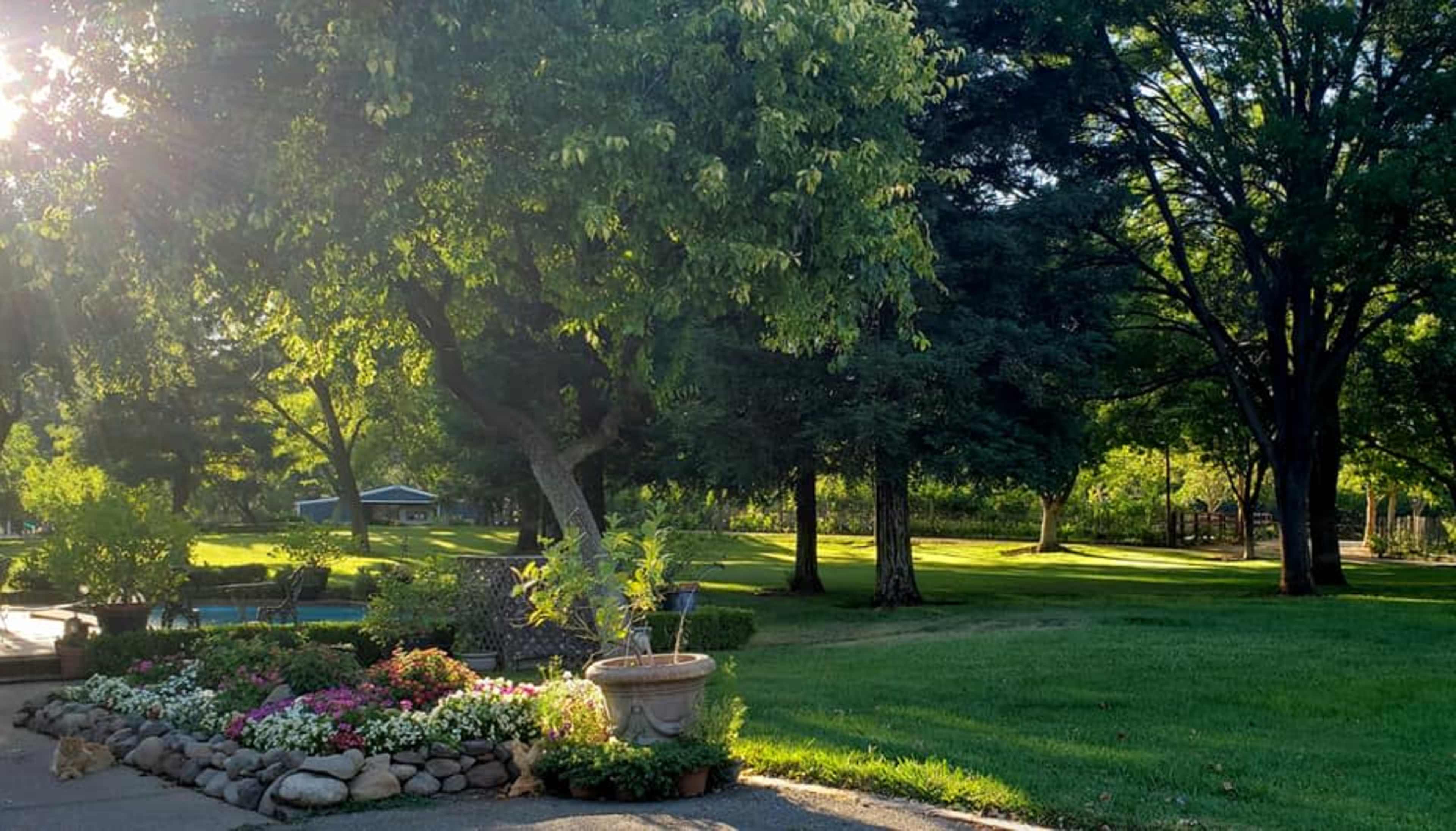 A well-maintained garden features a flower bed surrounded by rocks, with lush green trees and a grassy lawn in the background.