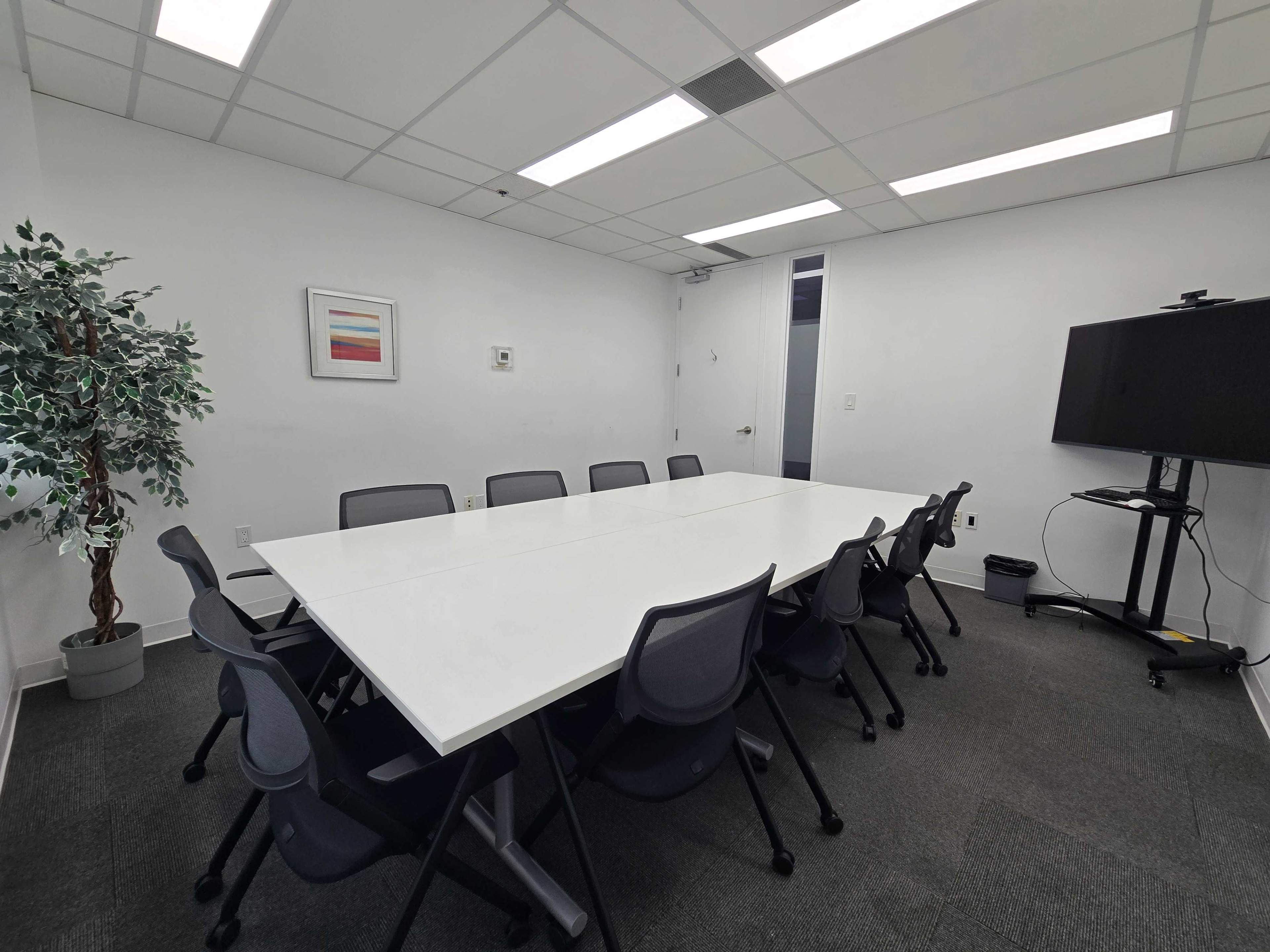 A rectangular conference room features a large white table surrounded by black chairs, a potted plant, and a television on a stand.