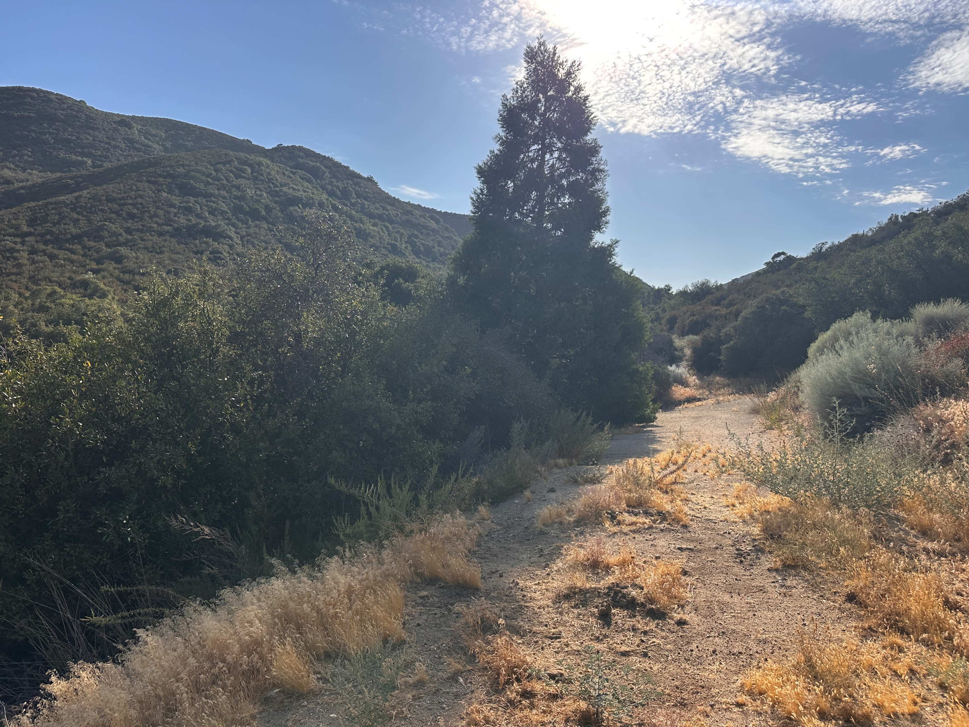 A narrow dirt trail winds through a mountainous landscape with sparse vegetation and a lone tree.