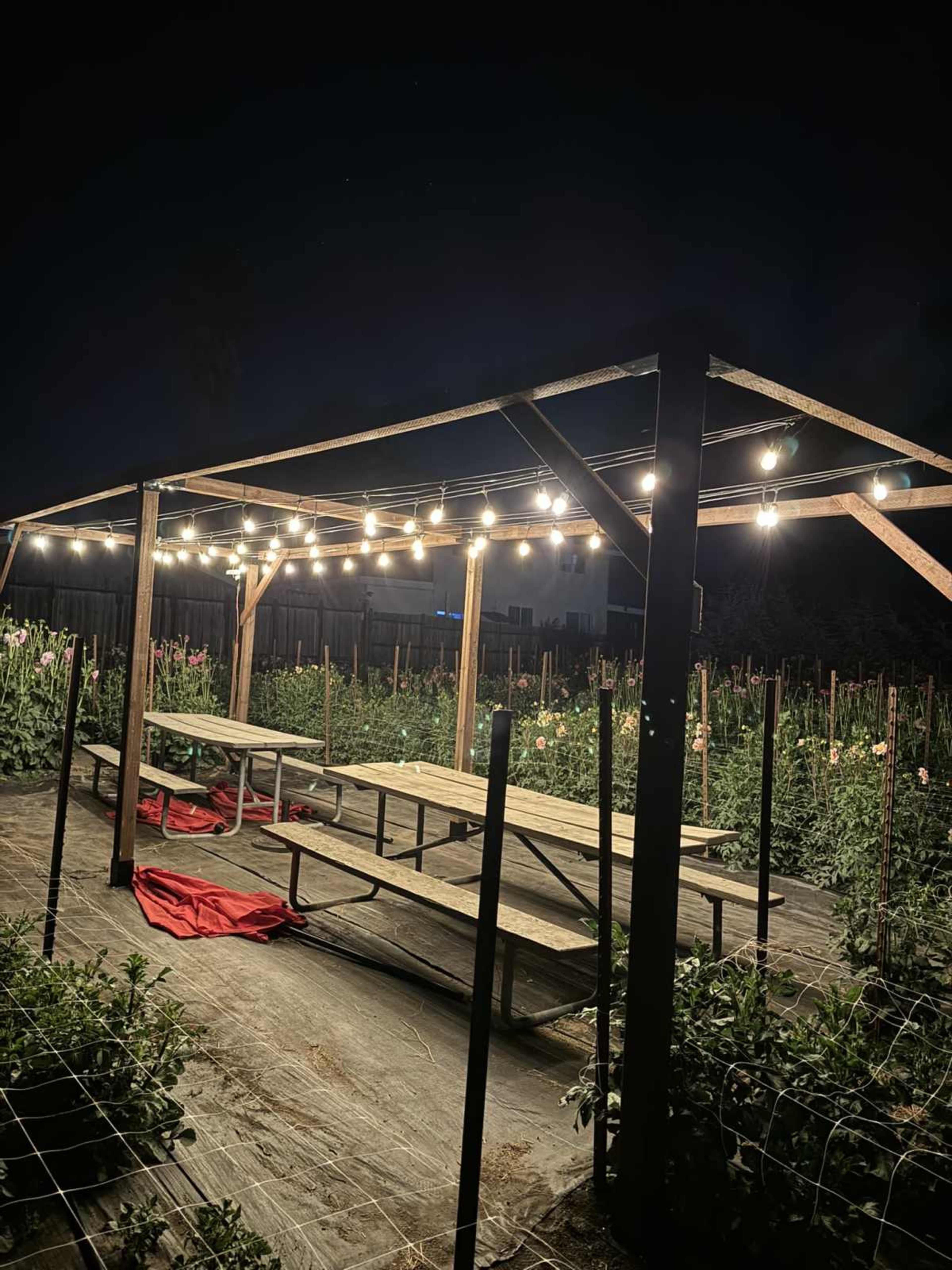 A wooden pergola with string lights illuminates a seating area surrounded by flower beds at night.