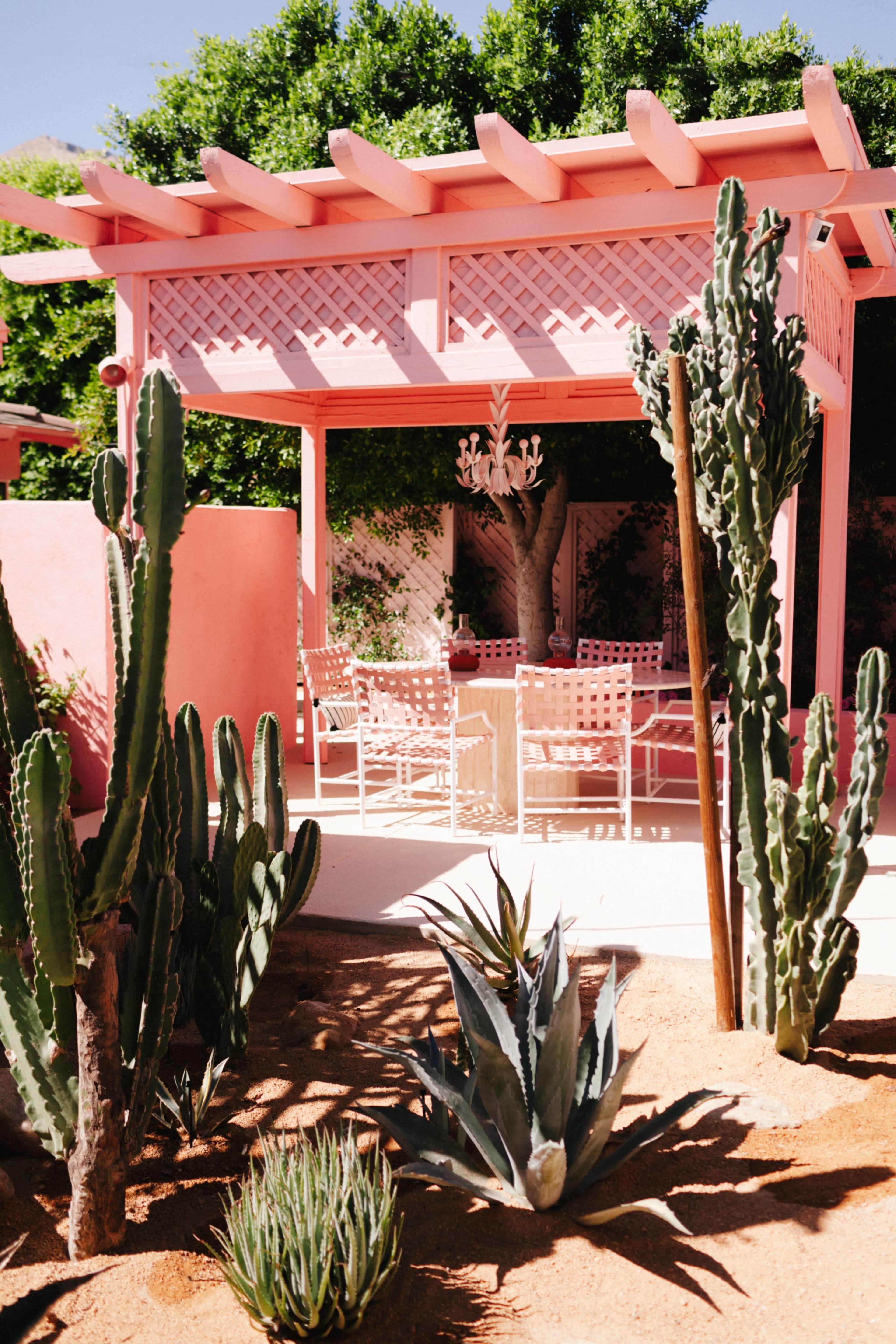 A pink pergola with a seating area is surrounded by various cacti and desert plants in a landscaped yard.