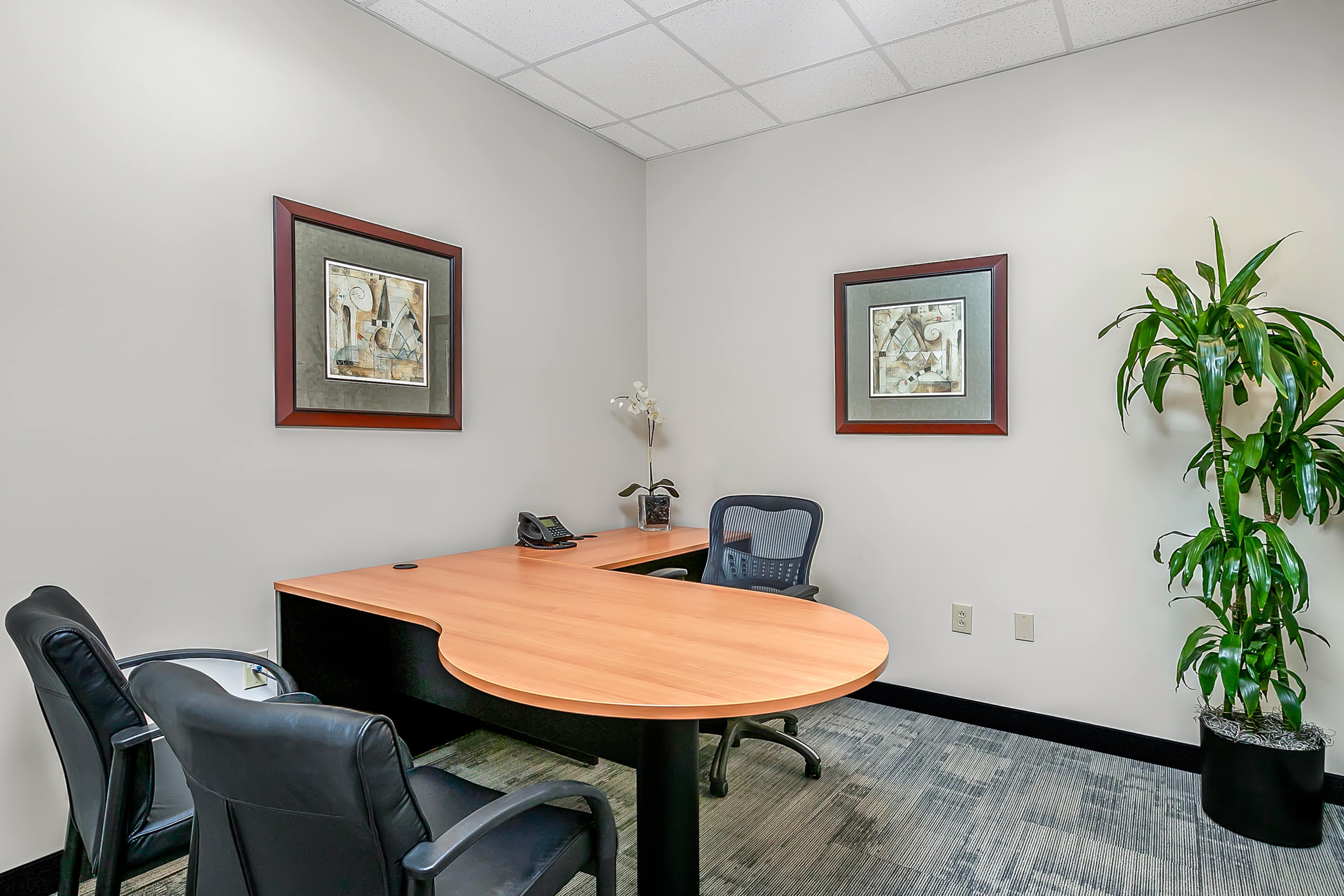 The image shows a minimalist office space with a wooden desk, two black chairs, a telephone, and two framed artworks on the walls, along with a potted plant in one corner.