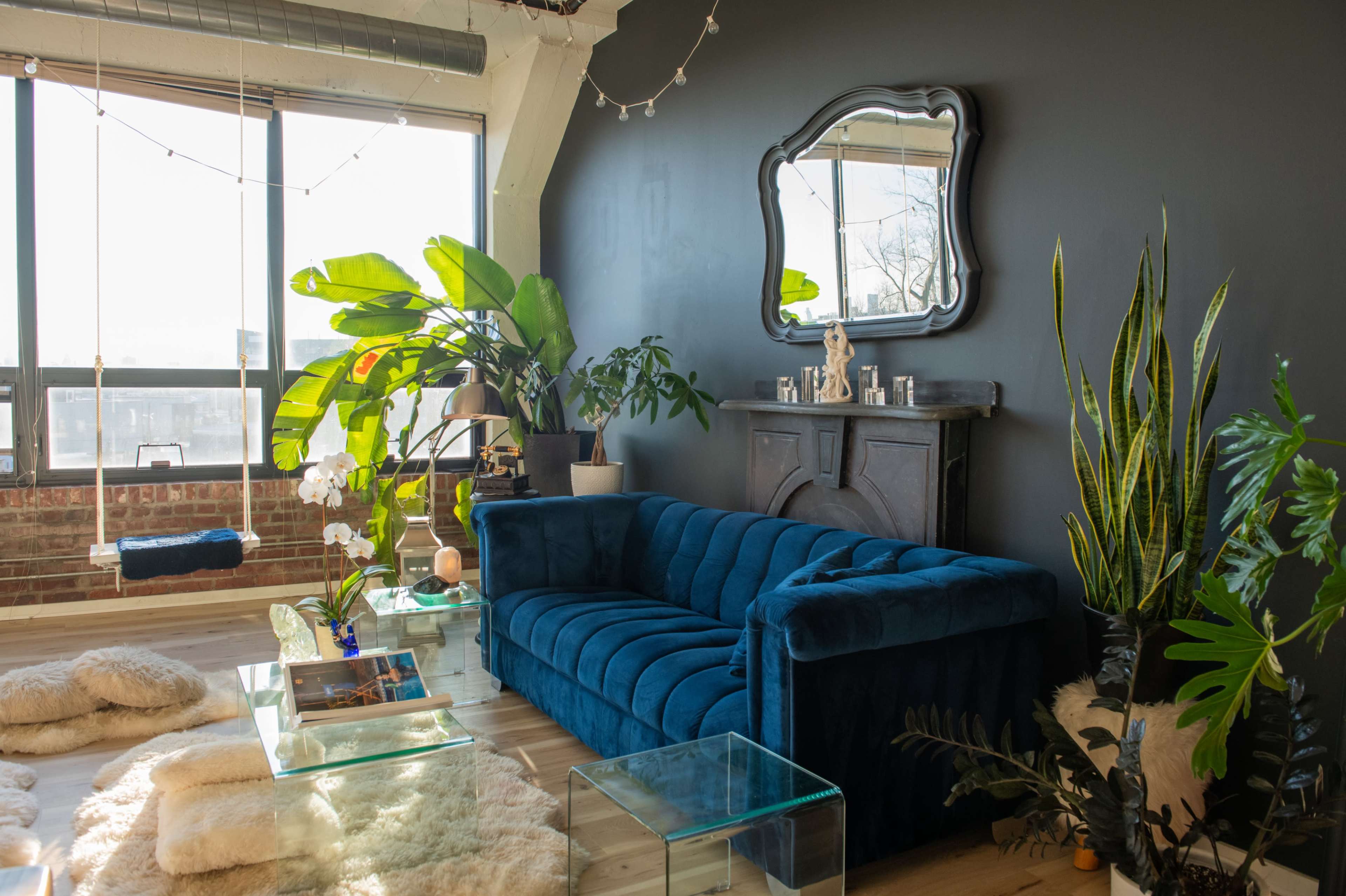 A modern living room with a blue velvet sofa, large plants, a wooden cabinet, and a decorative mirror against a dark wall, illuminated by natural light from large windows.