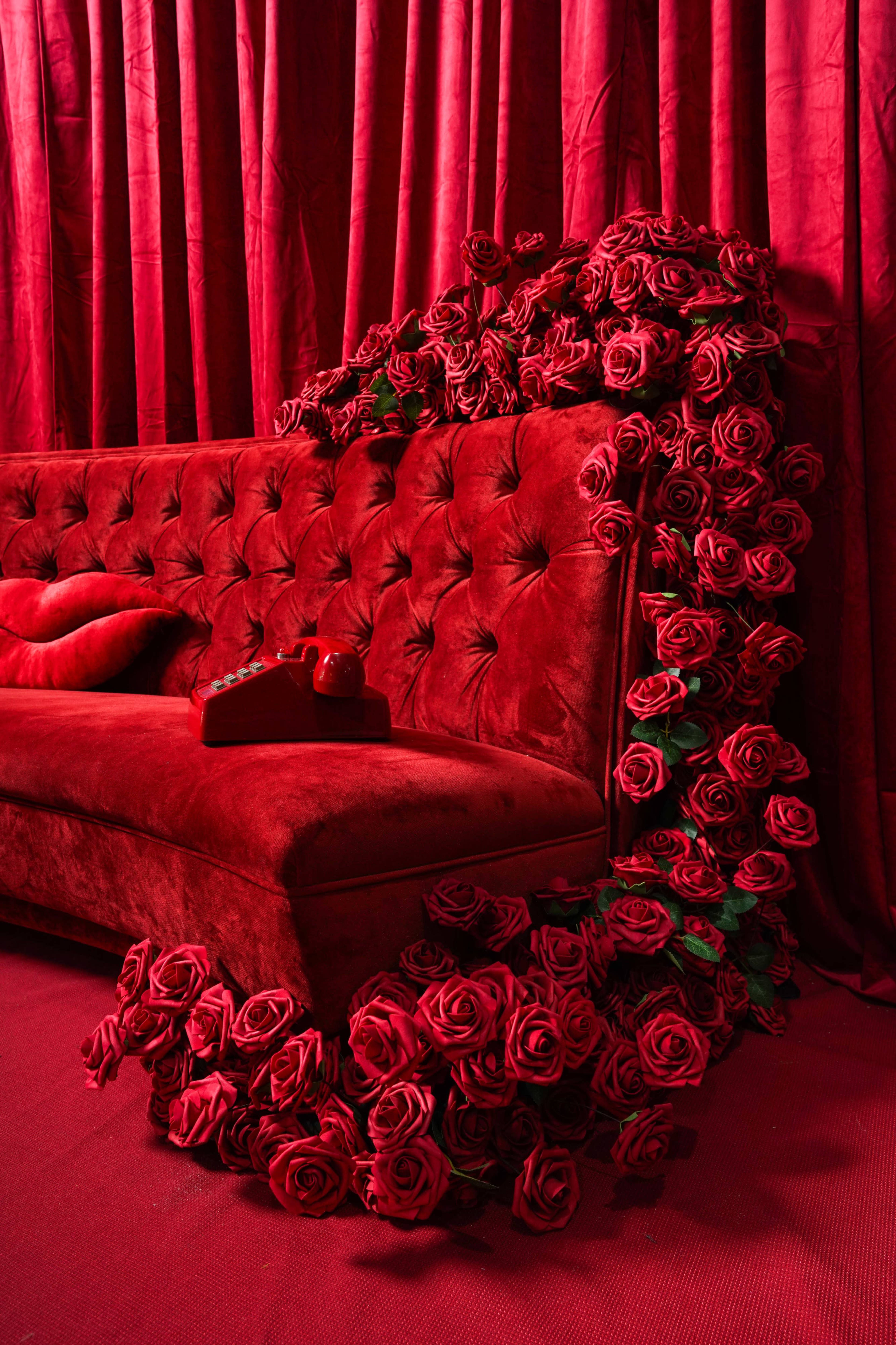 A Valentine’s Day Experience Image in Hills Park, Atlanta, GA