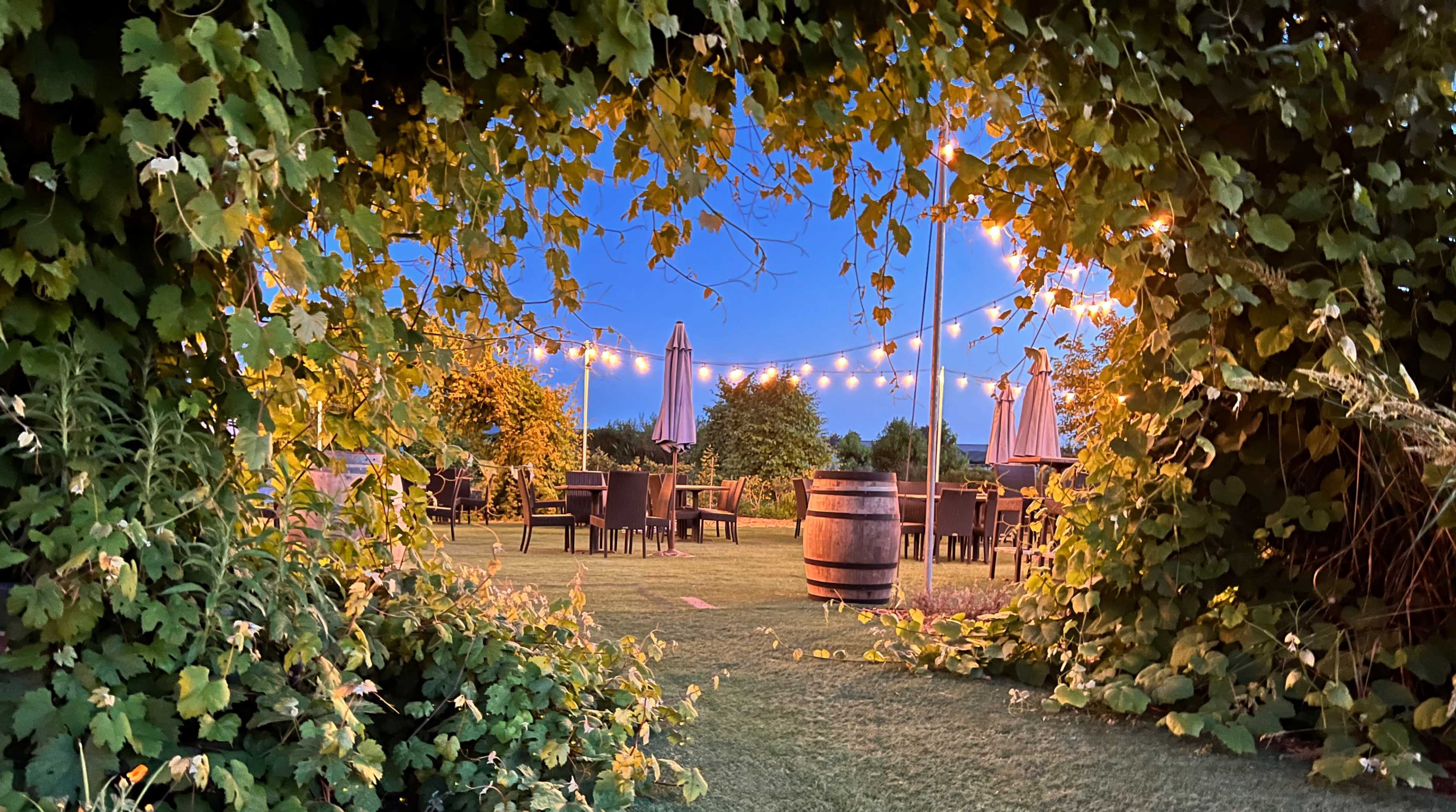 A garden with string lights and outdoor furniture framed by lush greenery.