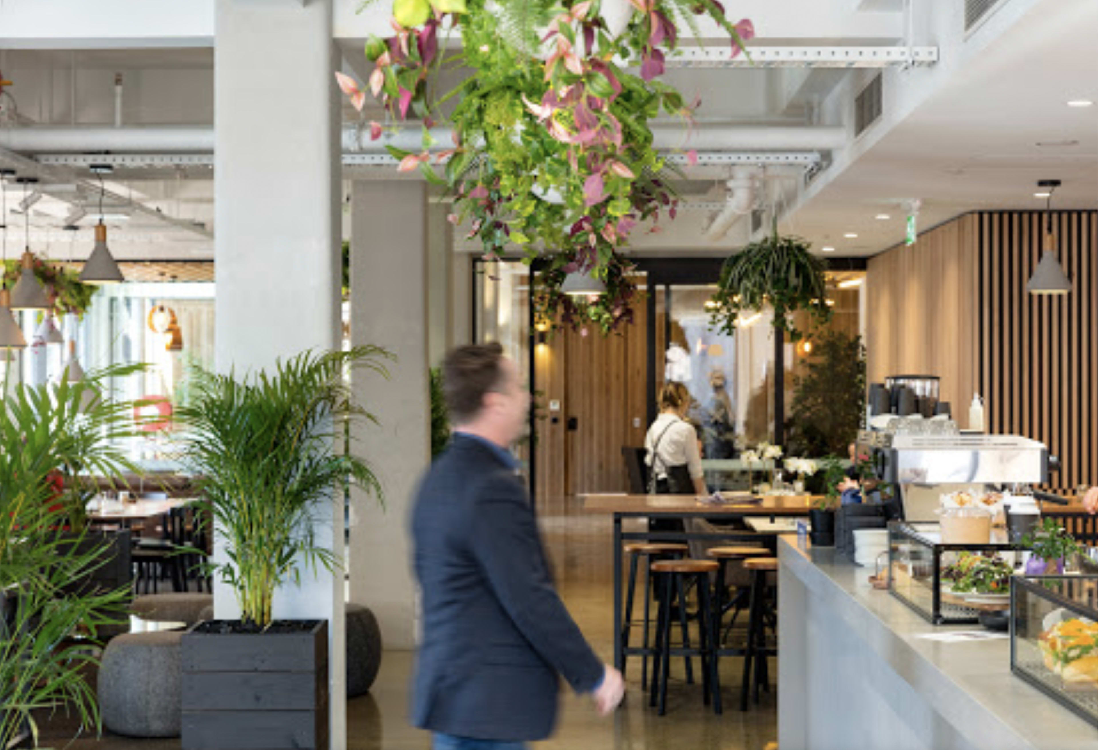 A man walks past a café counter with plants hanging above and a staff member in the background.