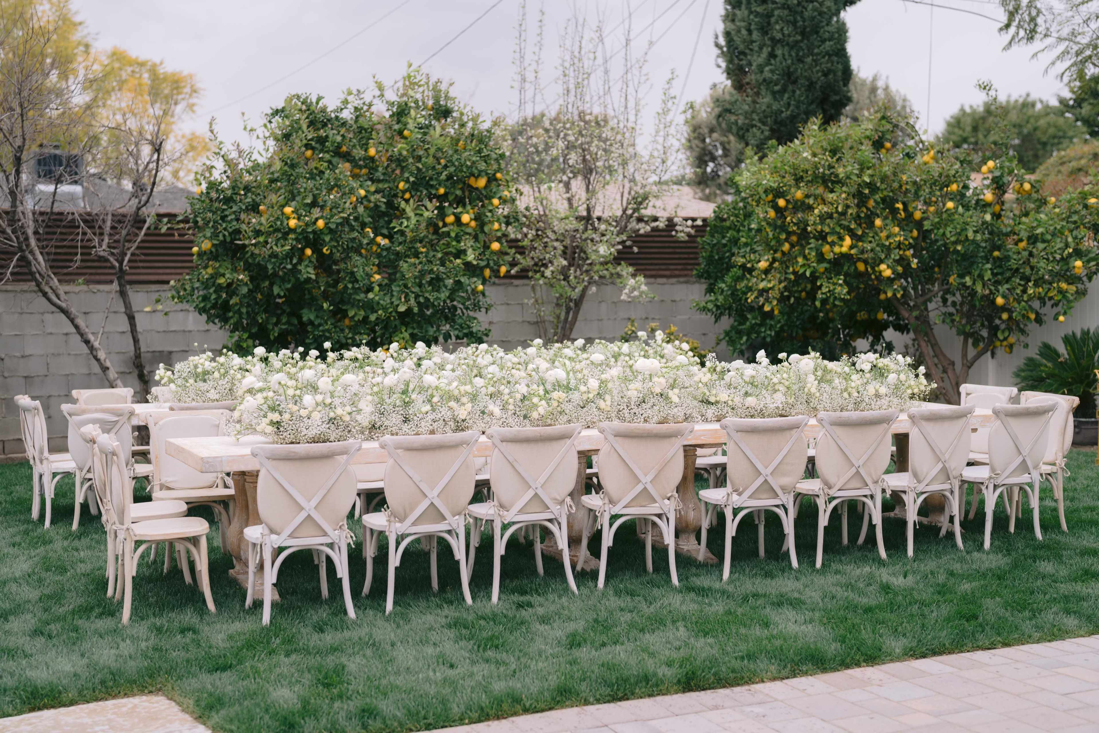 A large, rectangular table surrounded by numerous chairs is set in a garden filled with blooming white flowers and citrus trees.