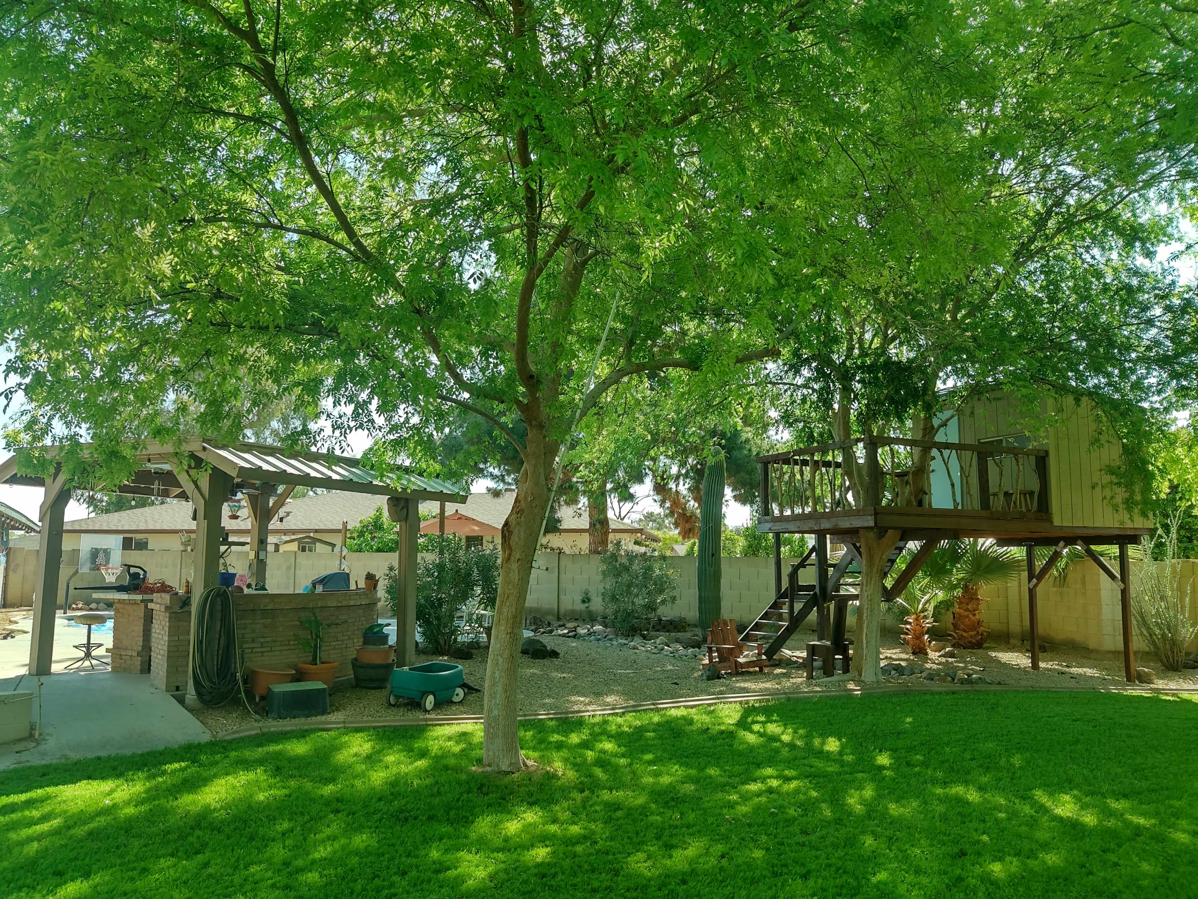 A large green tree provides shade over a backyard with a play structure, a covered seating area, and various outdoor items scattered across the lawn.