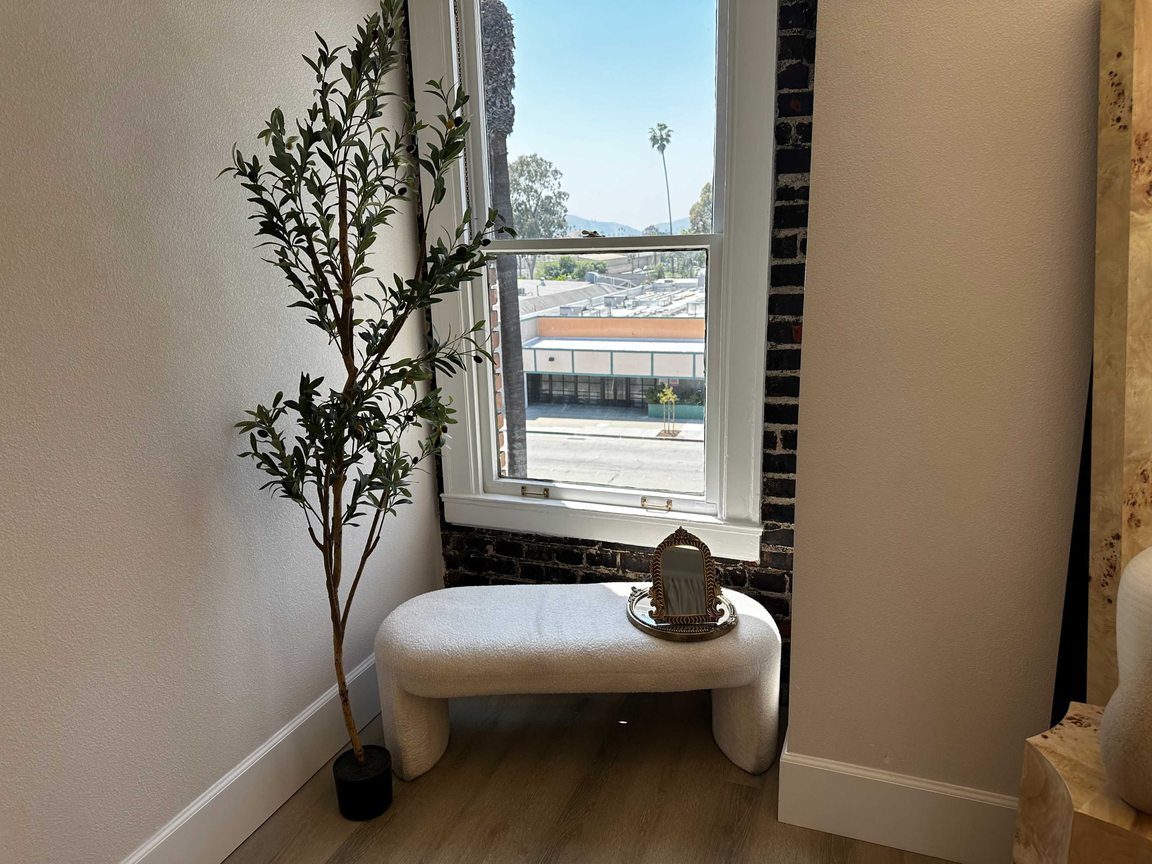 A small, curved bench and a potted tree are positioned next to a window overlooking a street.