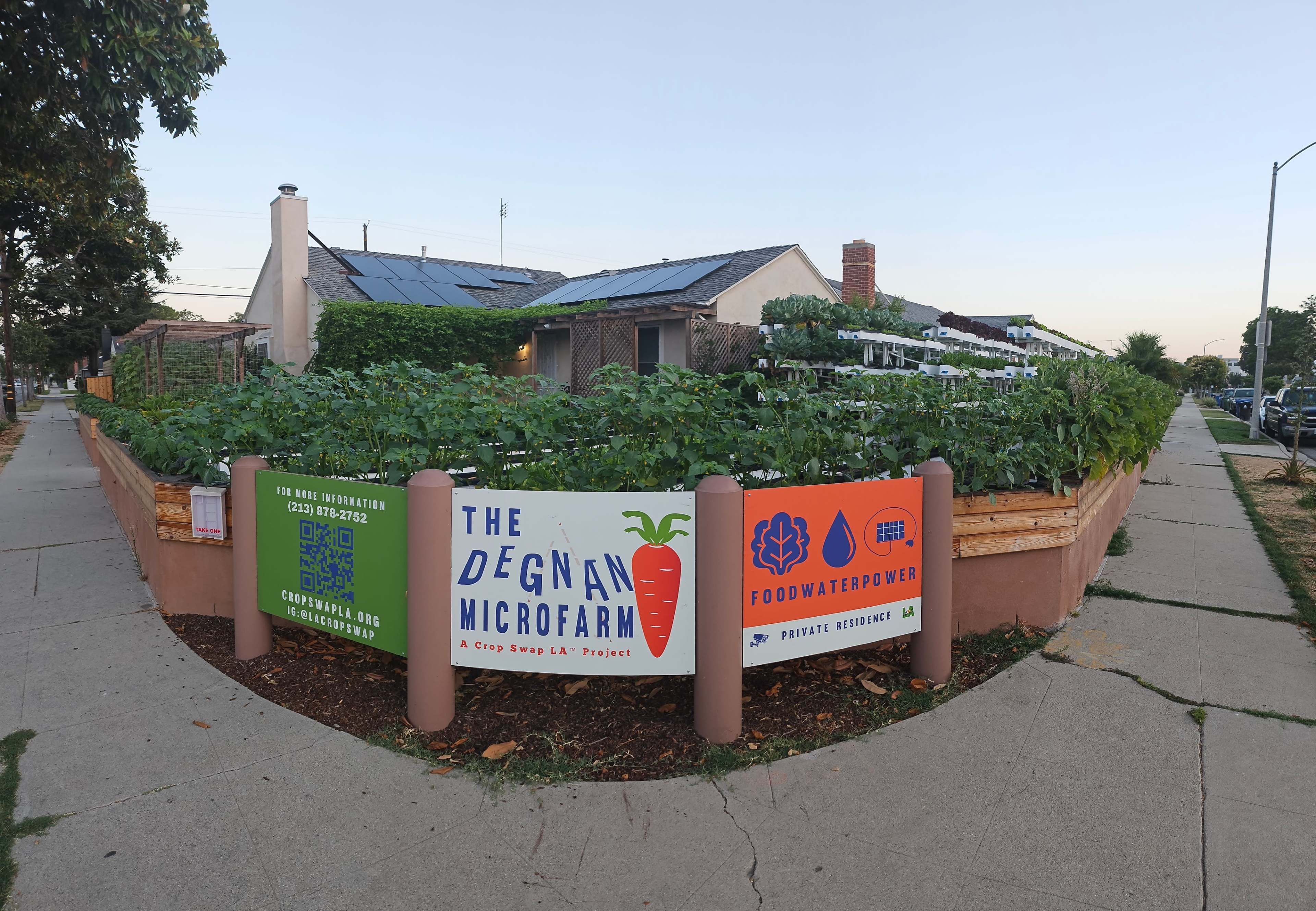 The image shows a community microfarm with lush green crops surrounded by signage advertising the Degnan Microfarm and Food Water Power.
