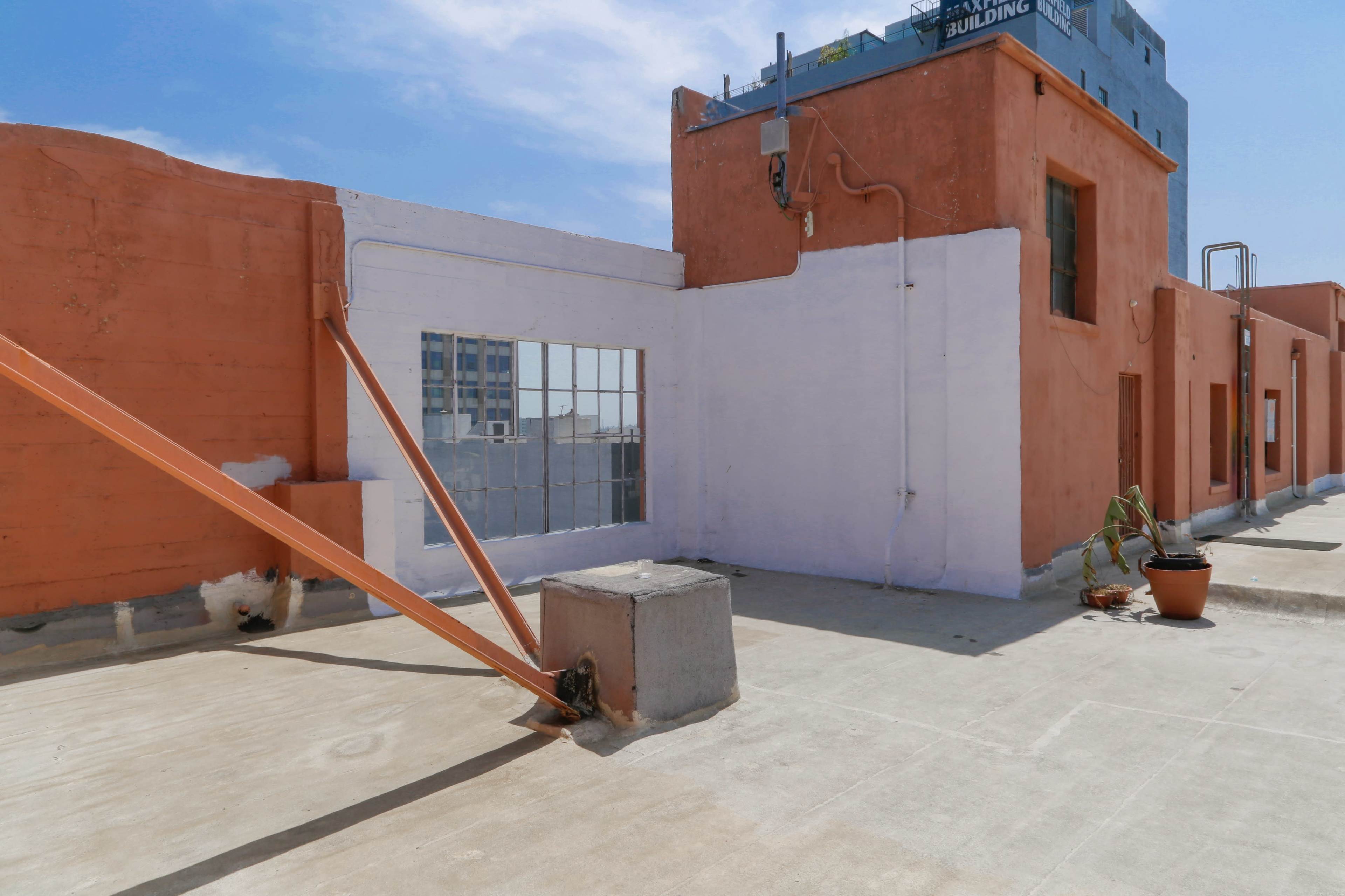 A rooftop space featuring orange and white walls, a large window, and a potted plant.