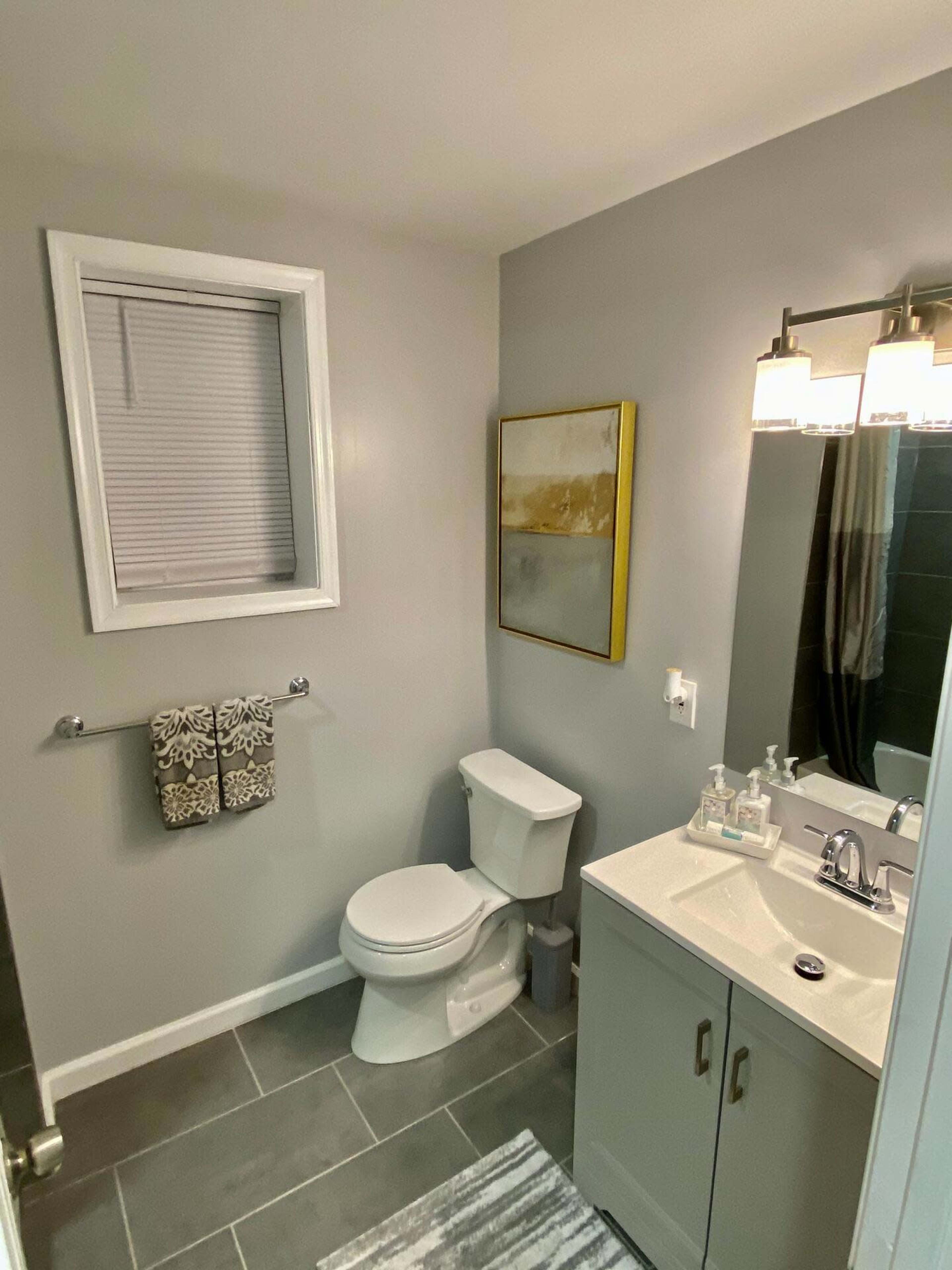 A modern bathroom featuring a toilet, vanity with a sink, a mirror, a framed painting, and wall-mounted towels.