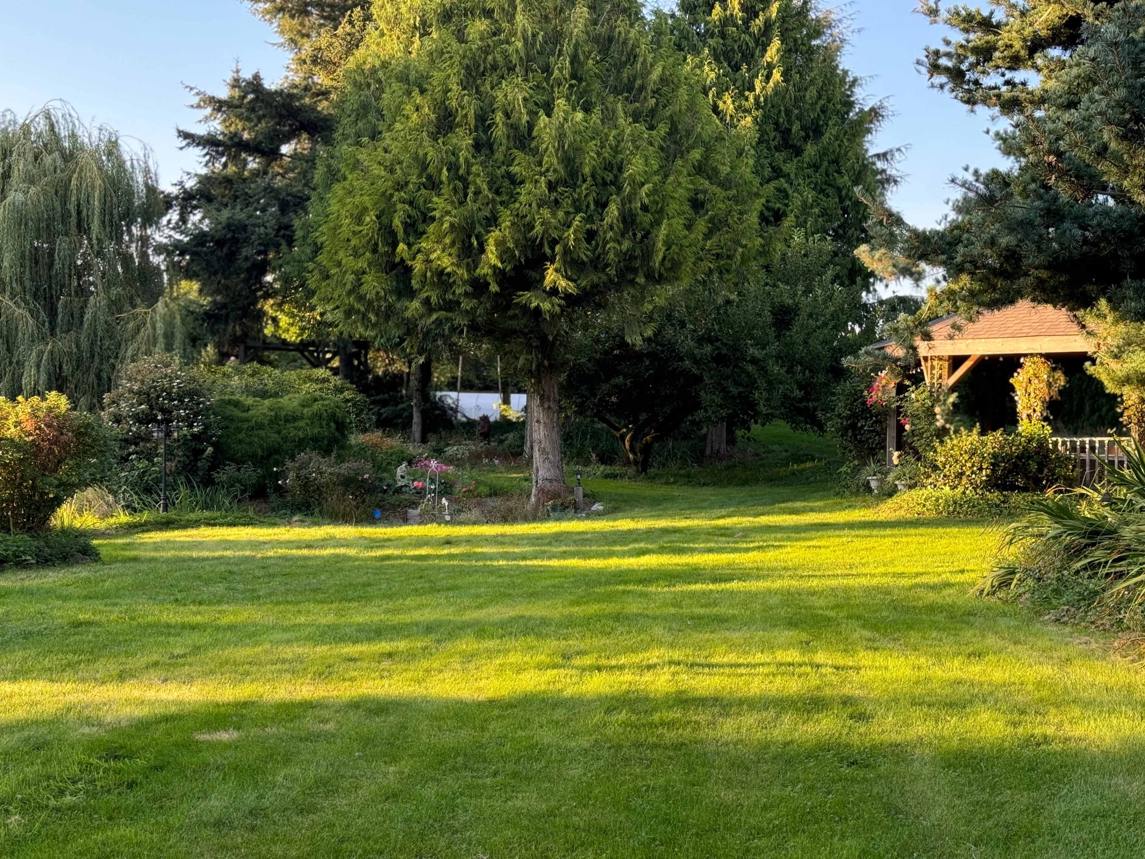 The image shows a large, green lawn surrounded by lush trees and flowering plants, with a gazebo visible in the background.