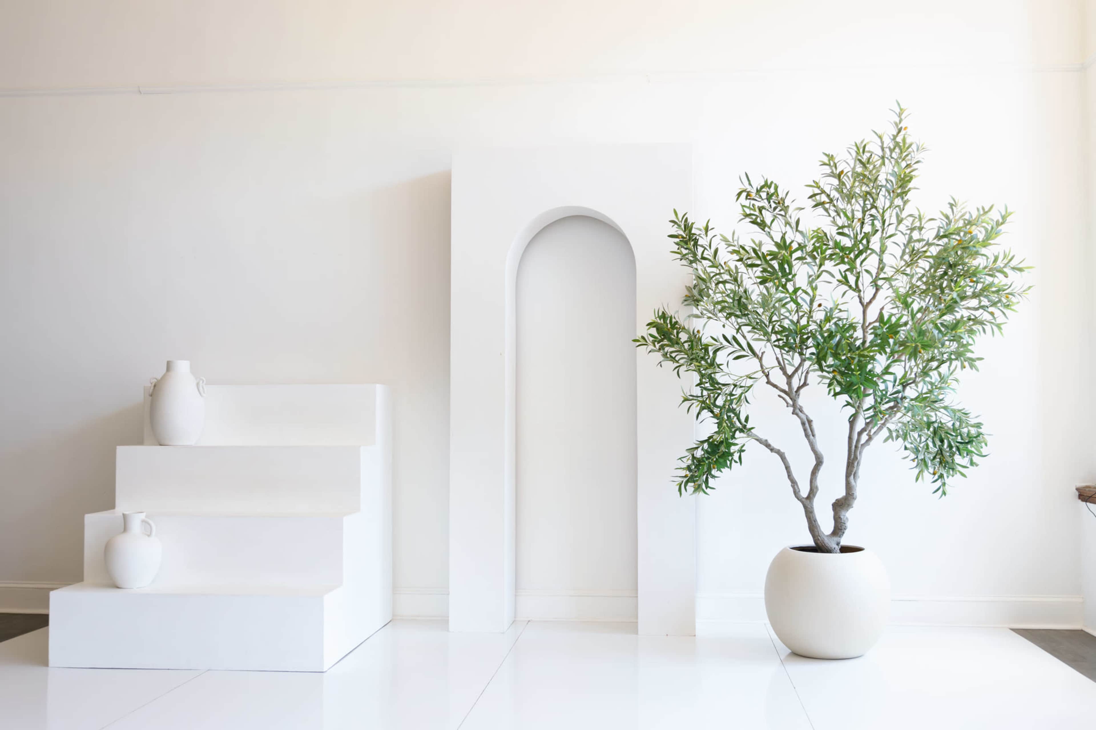 A minimalist interior scene featuring white stairs, an arch-shaped structure, a white vase, and a potted green plant.