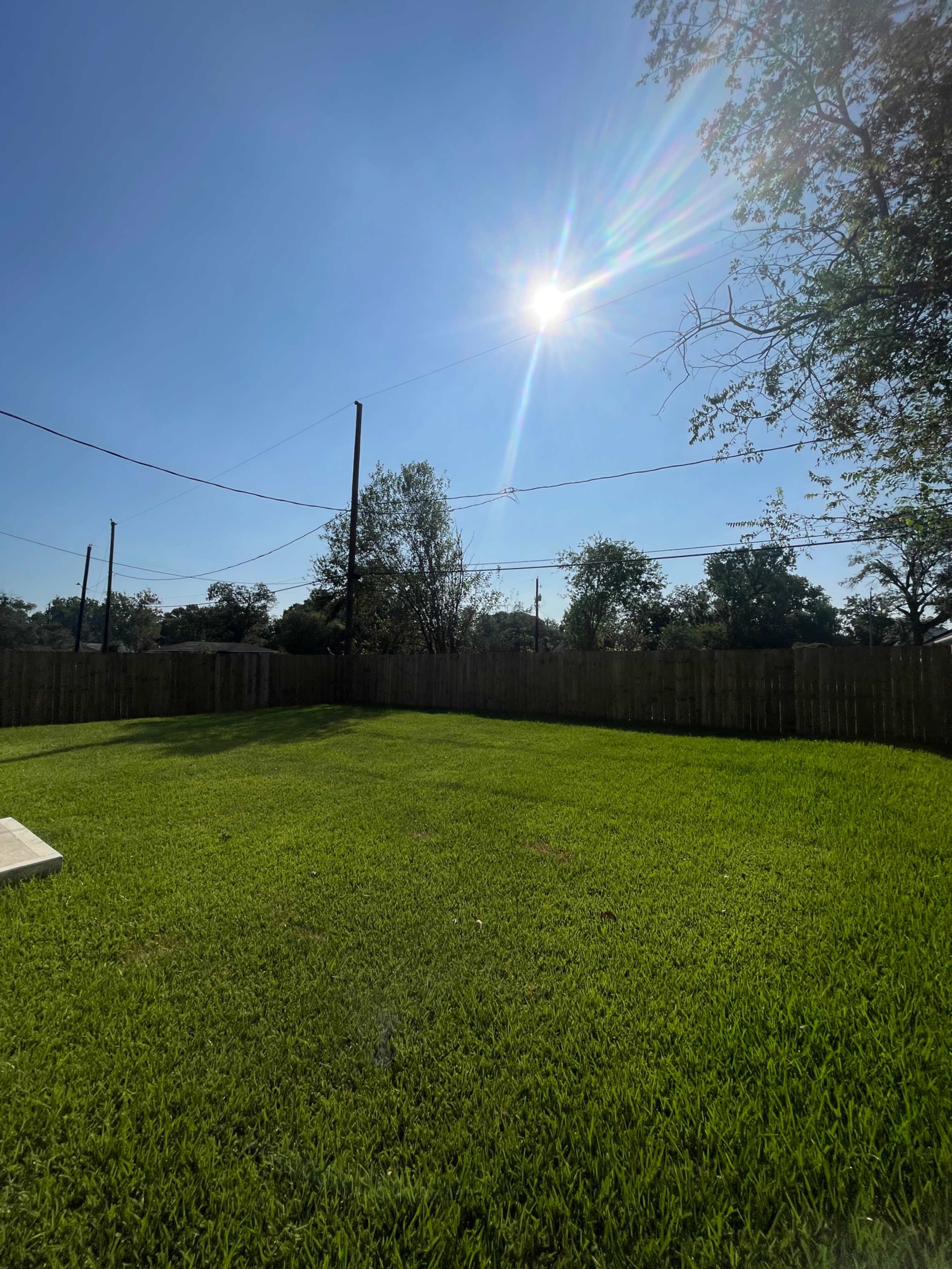 A sunlit yard features a lush green lawn bordered by a wooden fence under a clear blue sky.