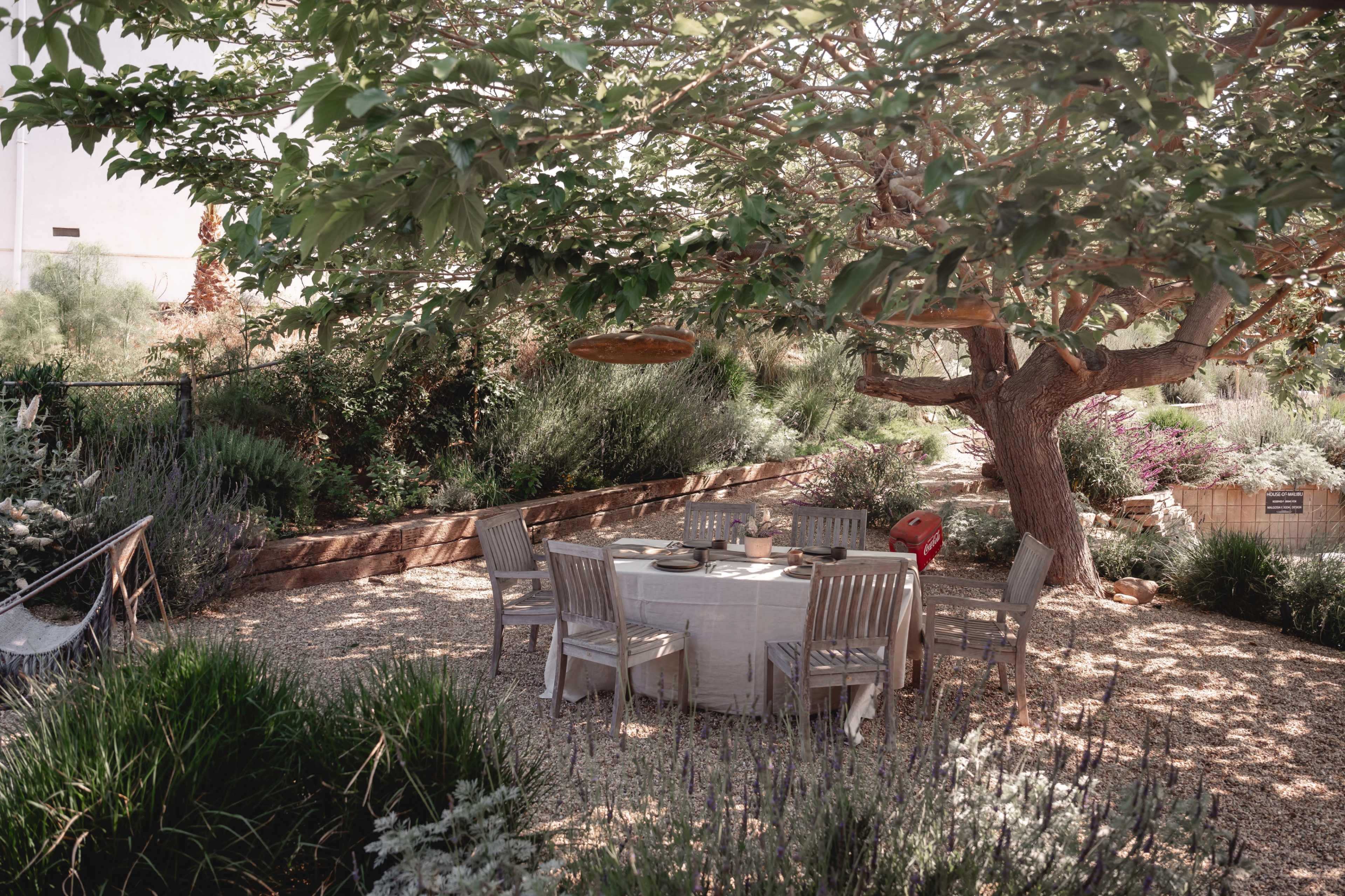 A circular dining table surrounded by wooden chairs is set under a large tree in a garden filled with green plants and lavender.