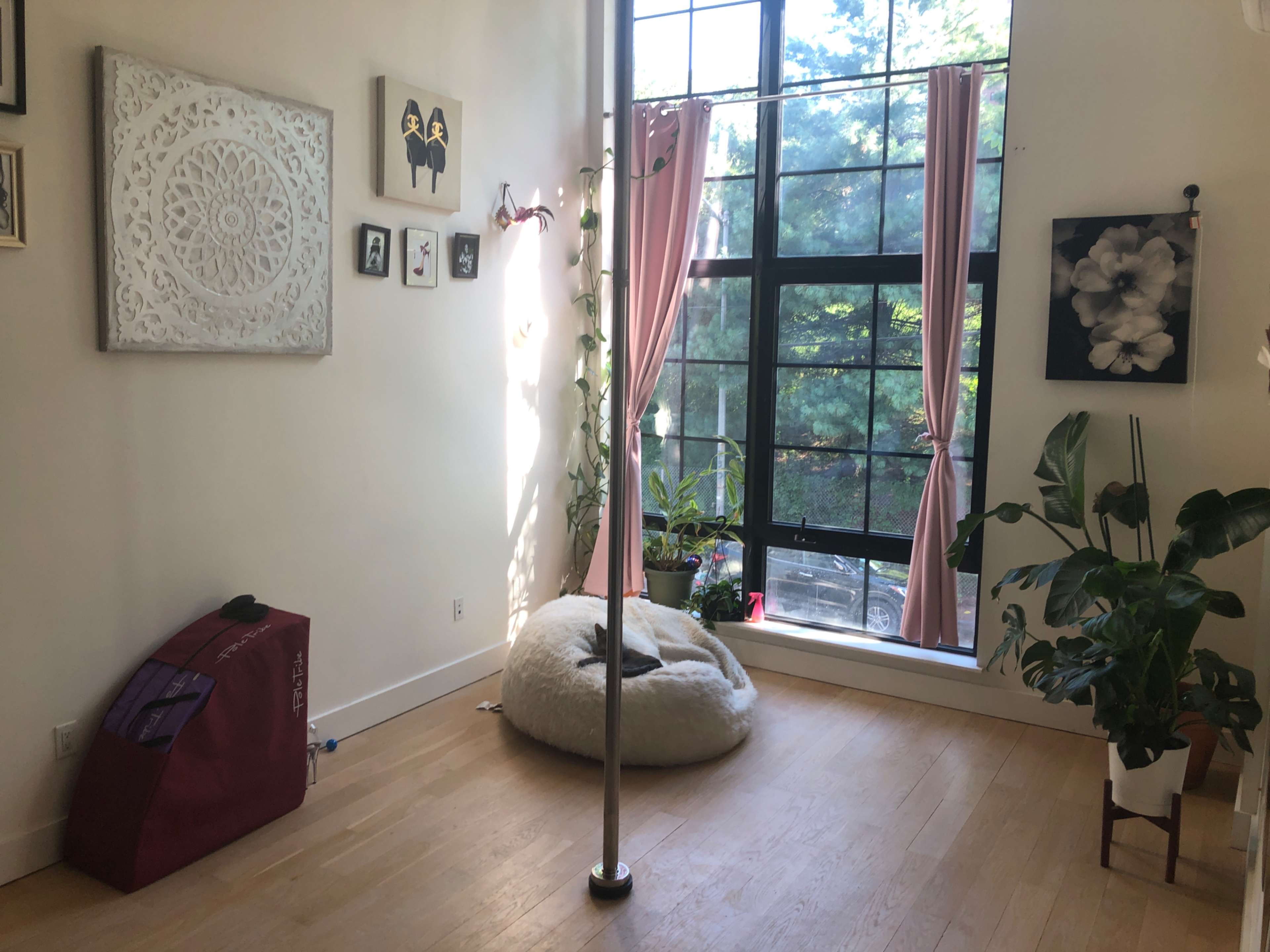 A bright, minimalistic room with a window featuring pink curtains, a pole in the center, and a large pet bed on the floor next to a potted plant.