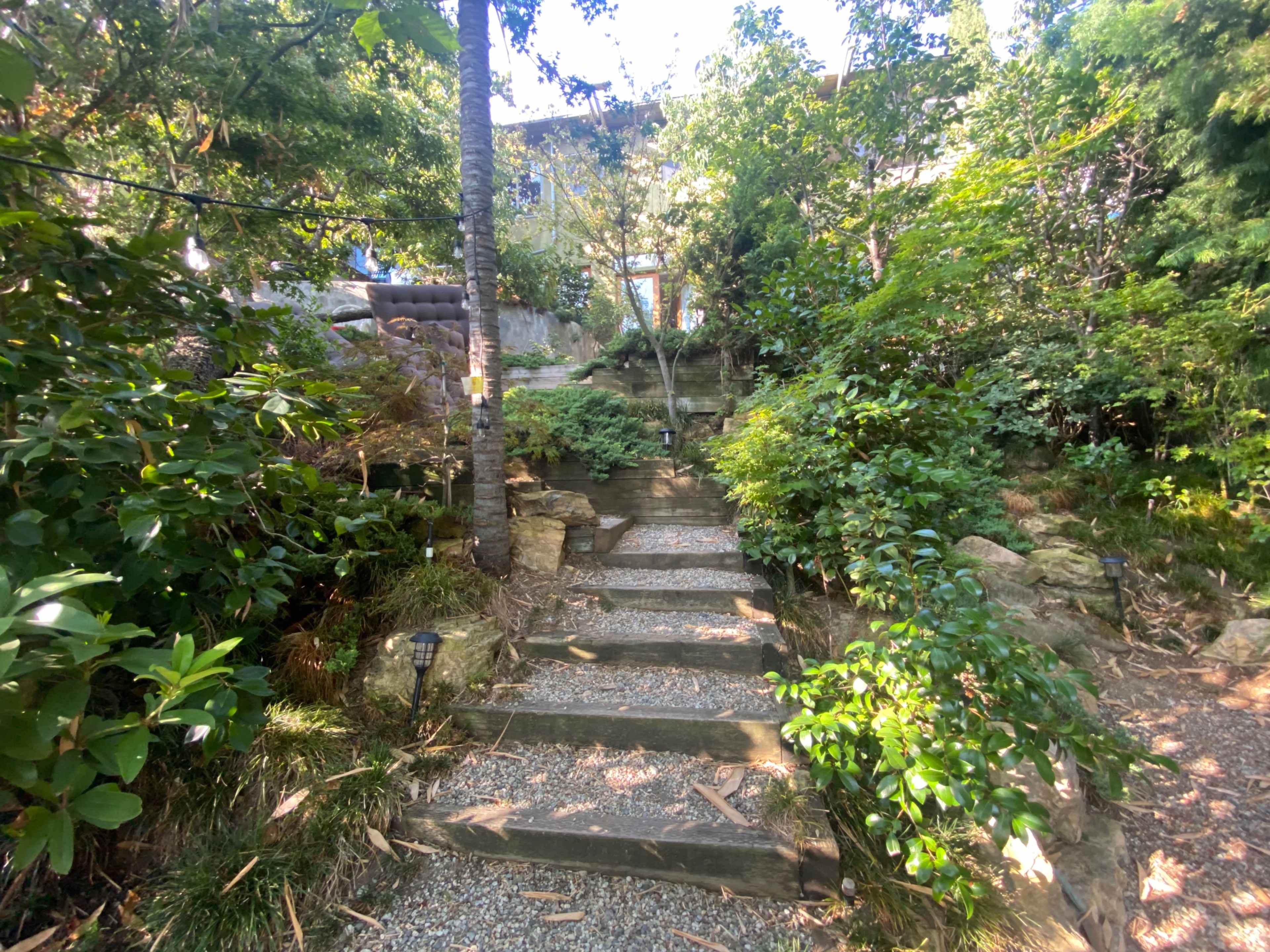 A stone pathway lined with greenery leads up through a garden toward a building in the background.