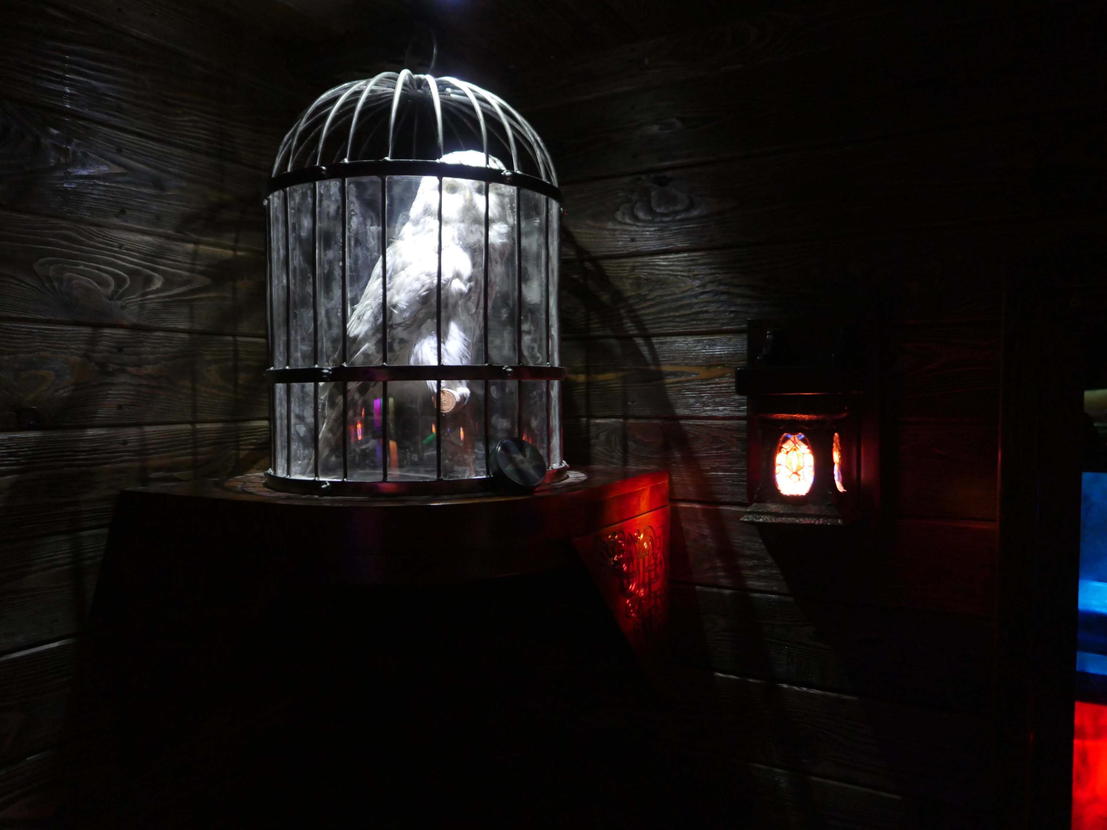 A large, white owl is enclosed in a metal cage, illuminated by dim, colored lights and a lantern on the wall nearby.