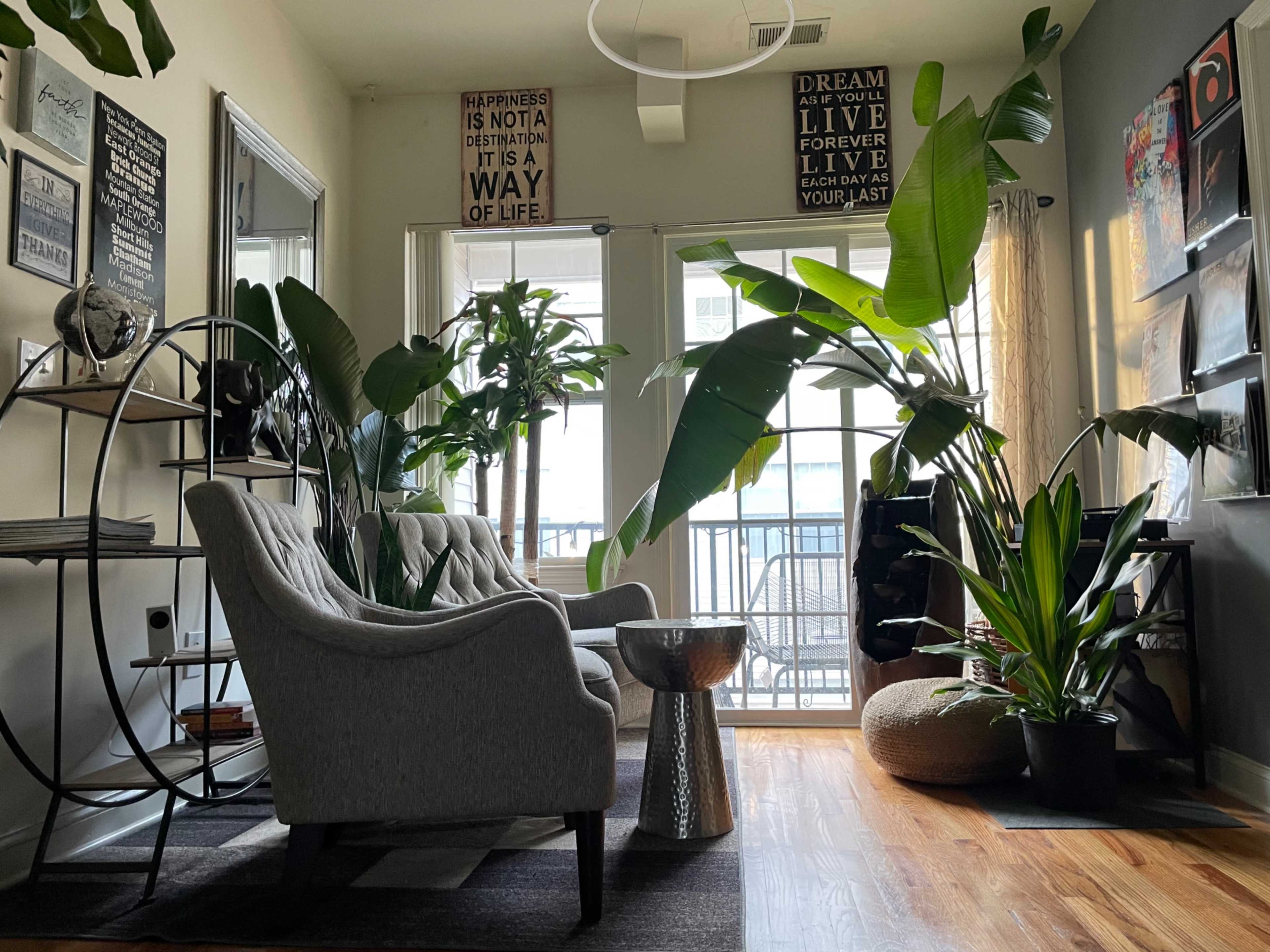 A cozy living area features a gray armchair, a small metallic table, and numerous indoor plants near a balcony with large windows.