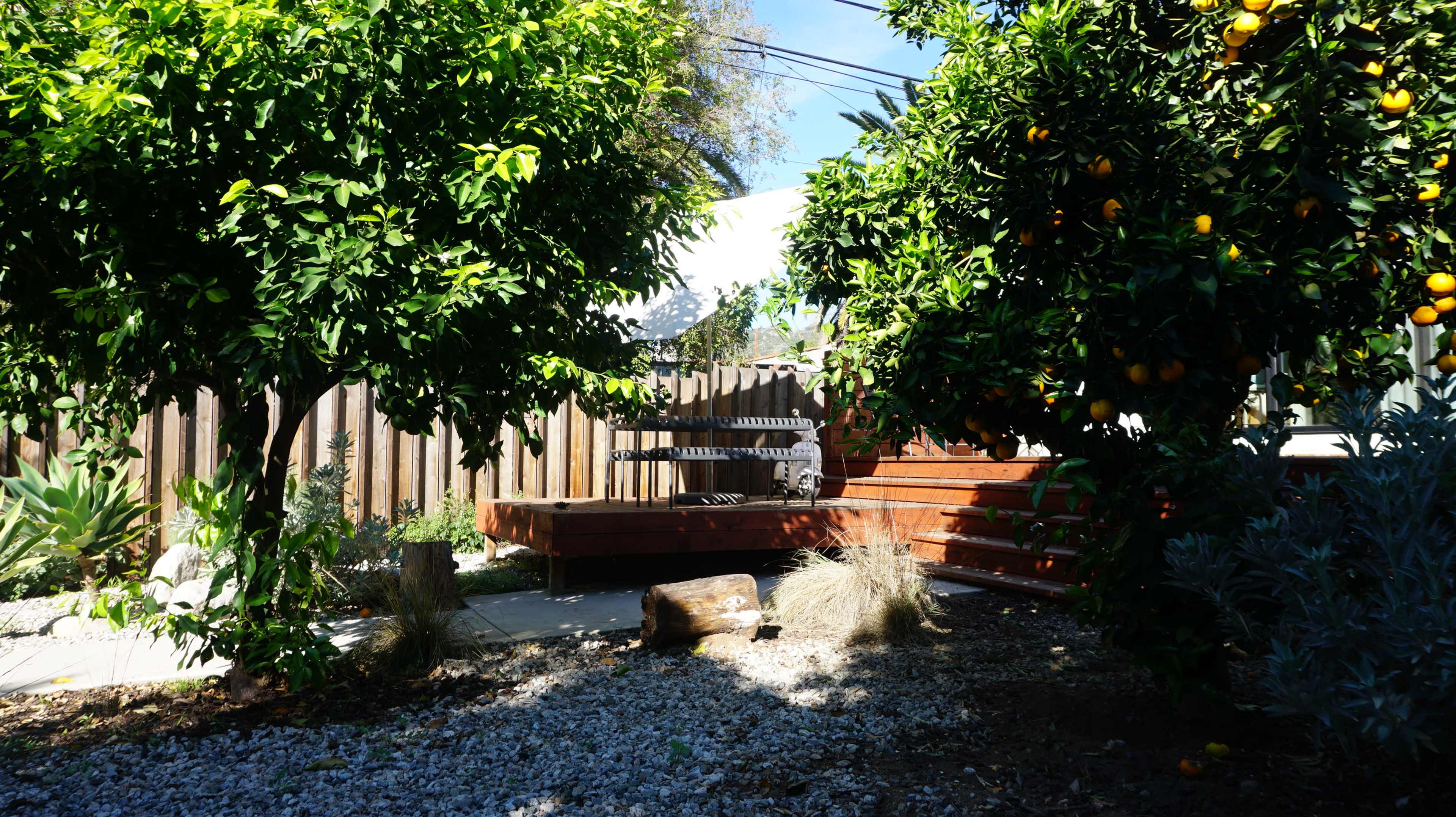 The scene features a small backyard with two citrus trees, gravel ground, wooden steps leading to a deck, and various plants surrounding the area.
