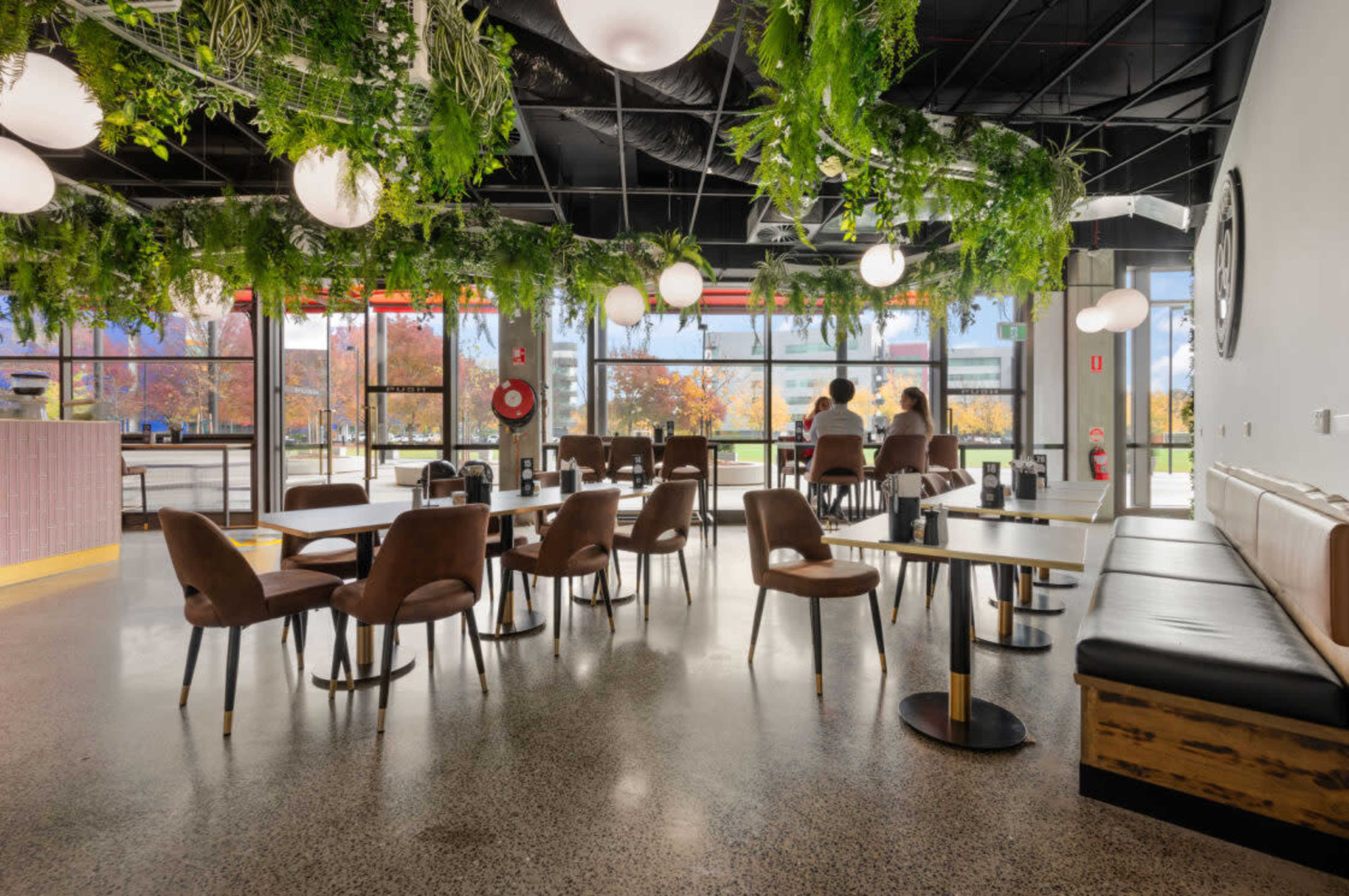 The image shows a modern café interior with green plants hanging from the ceiling, multiple tables and chairs, and large windows displaying outdoor trees.