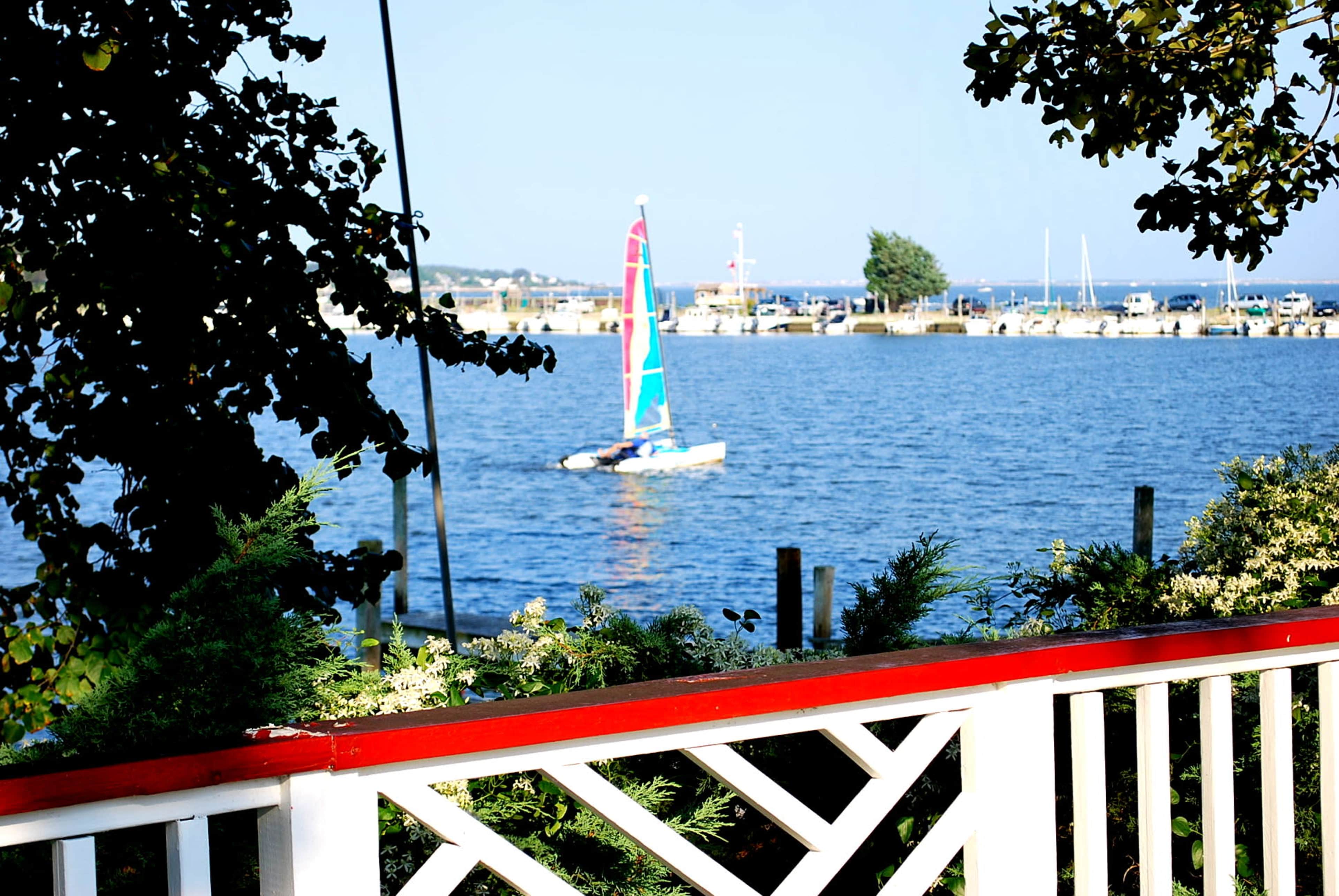 A colorful sailboat glides across the water in a marina setting, framed by trees and a railing in the foreground.
