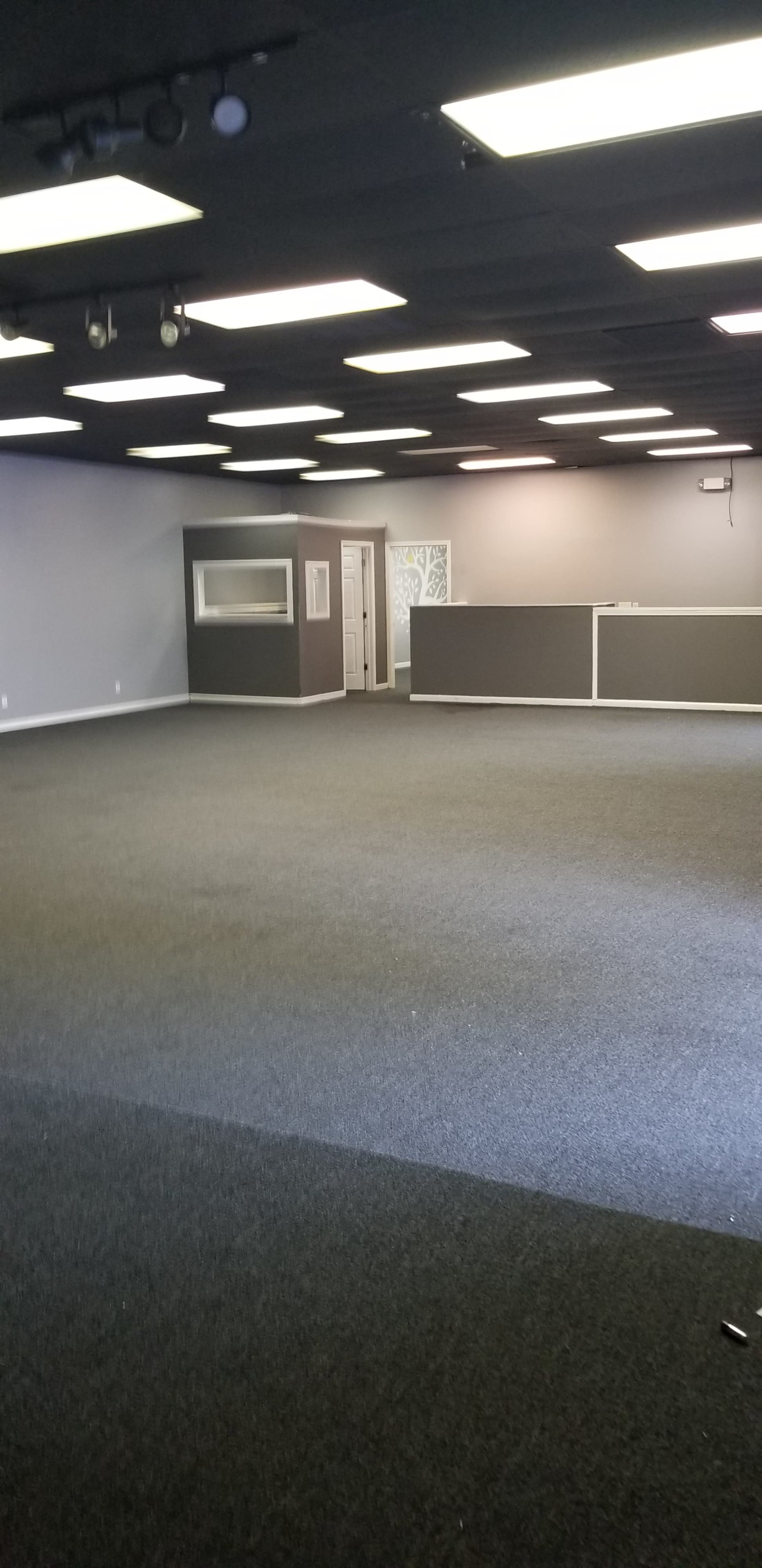 The image shows a spacious, empty room with a carpeted floor, gray walls, and overhead lighting.