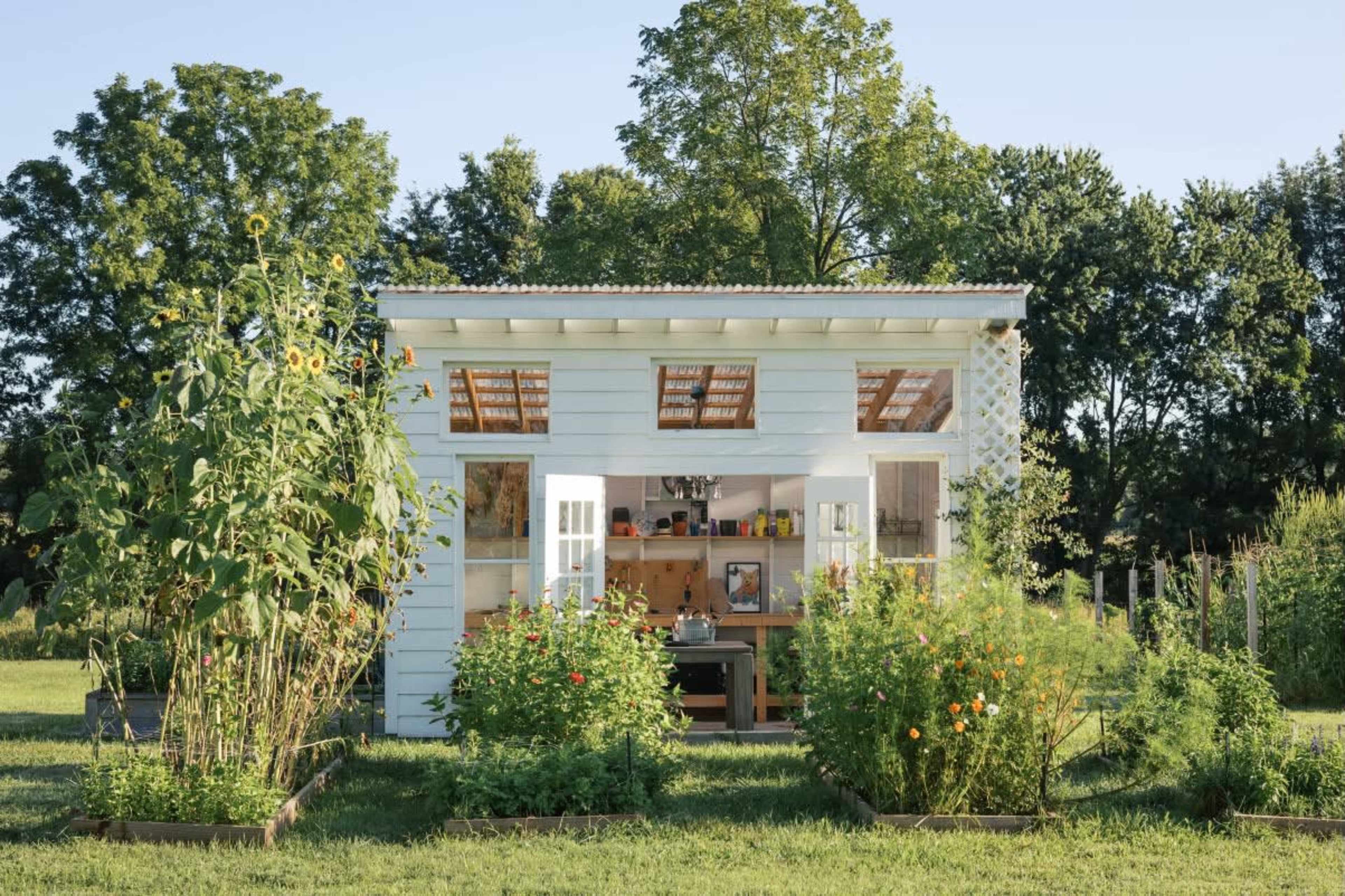 A small, white shed with open doors is surrounded by various plants and flowers in a green garden.