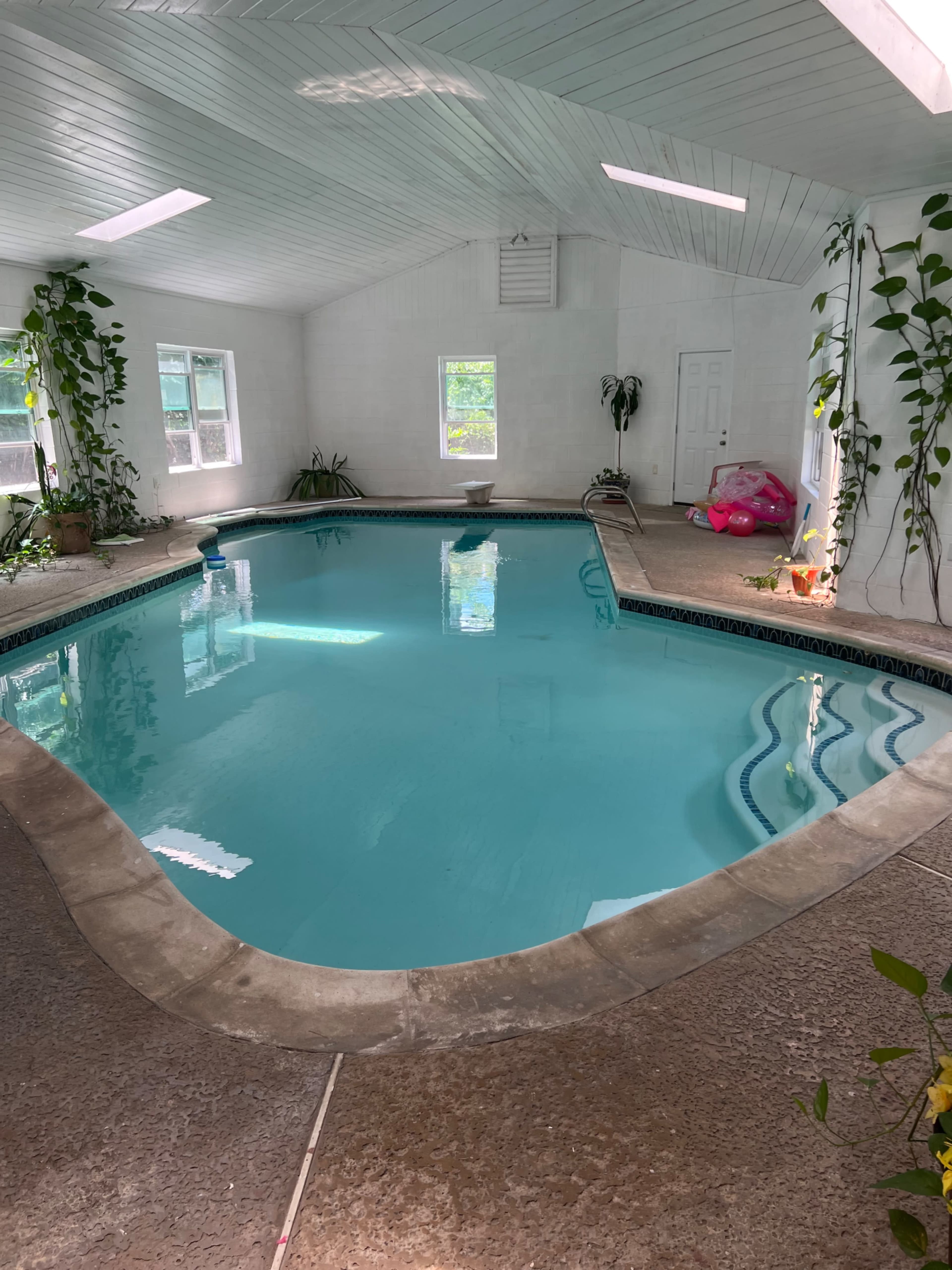 An indoor swimming pool surrounded by white walls and large windows, with potted plants positioned around the edge.
