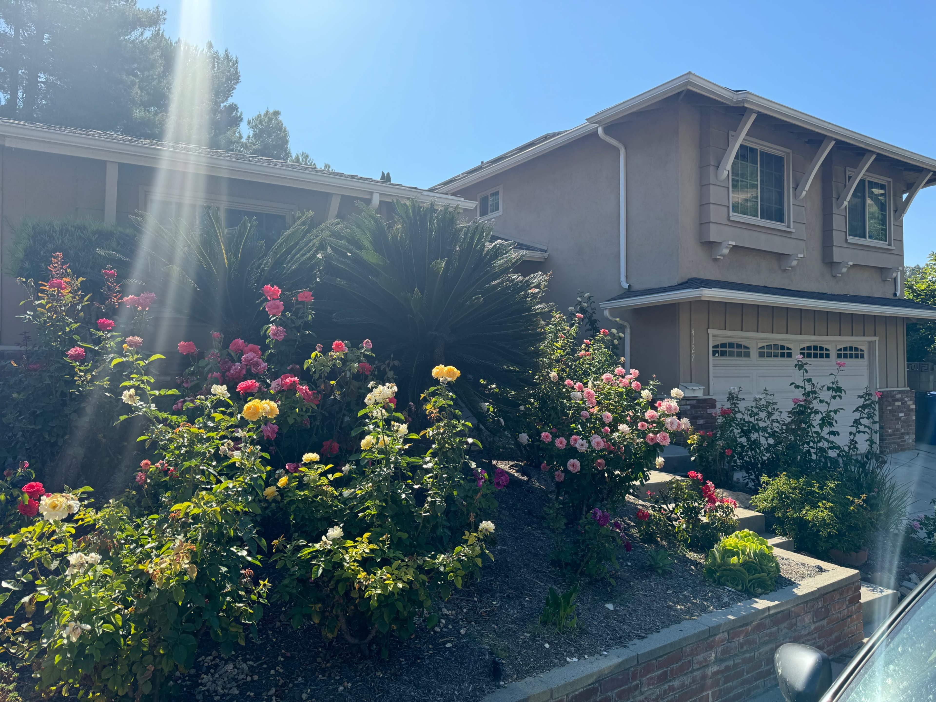 A house with a garage is surrounded by a variety of colorful flowering plants and shrubs.