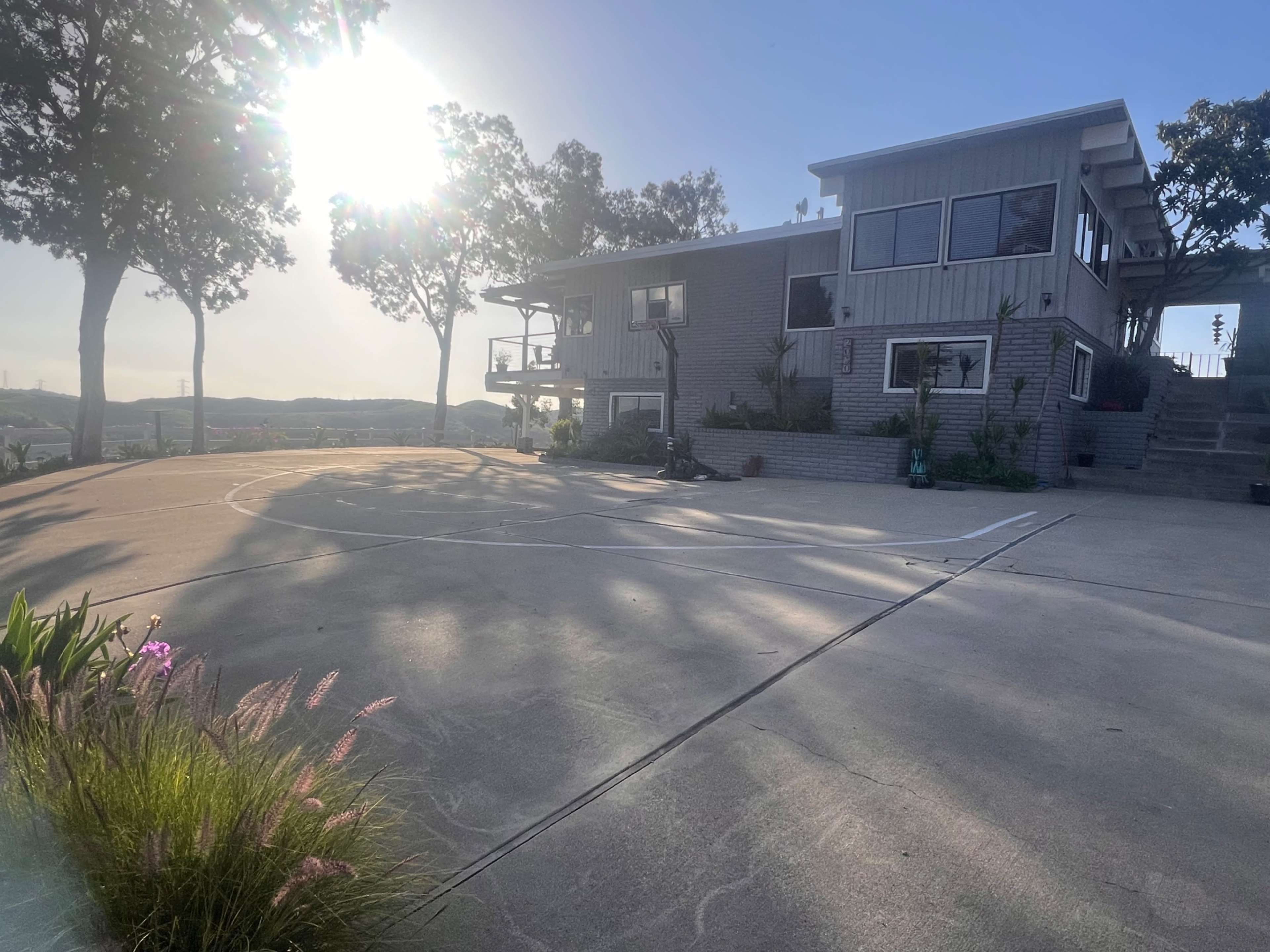 A modern house with a basketball hoop located on a concrete driveway, surrounded by trees and plants under a bright sun.
