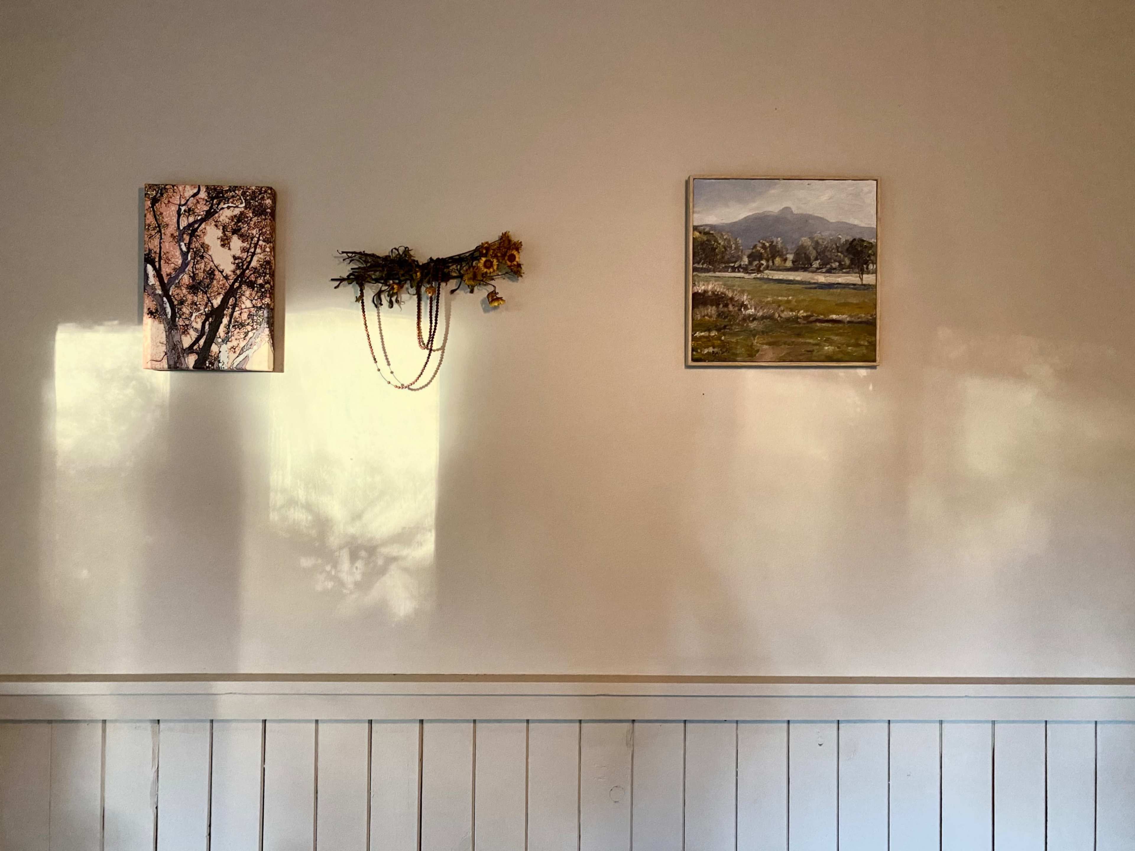 A wall with two pictures and a decorative arrangement of dried flowers, casting shadows on the surface.