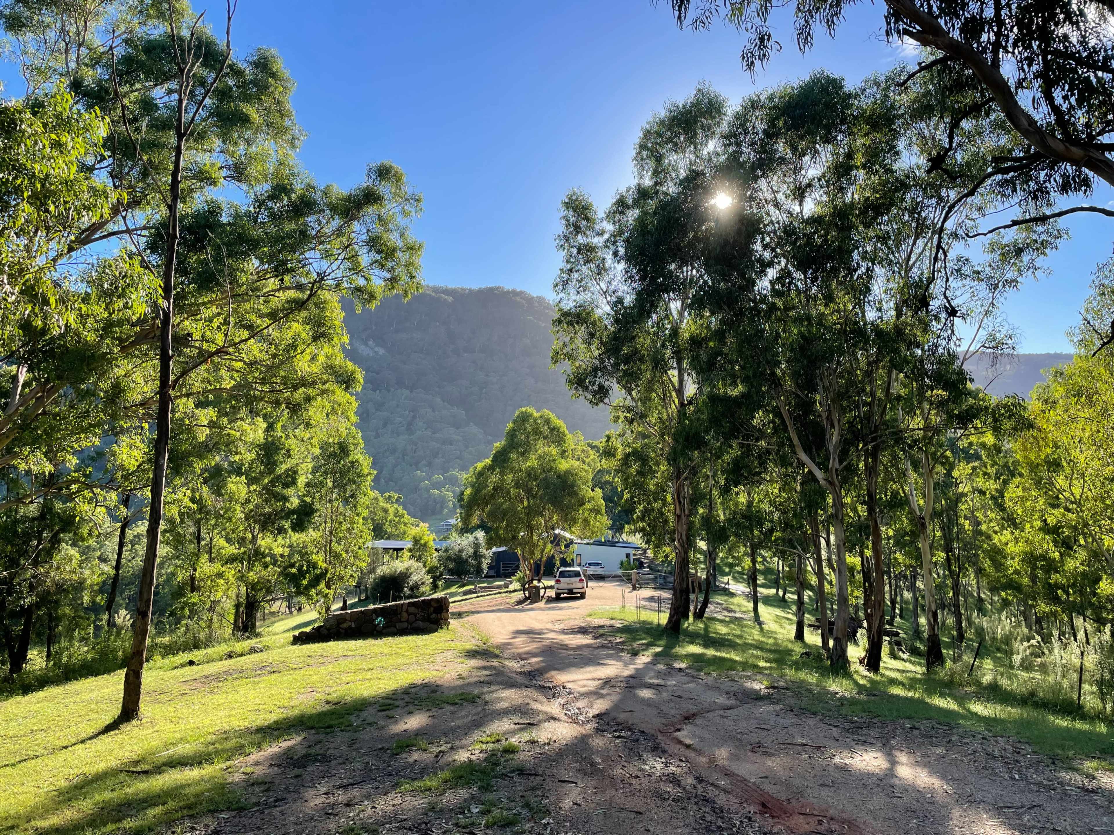 A dirt road lined with trees leads toward a mountainous backdrop and parked vehicles.