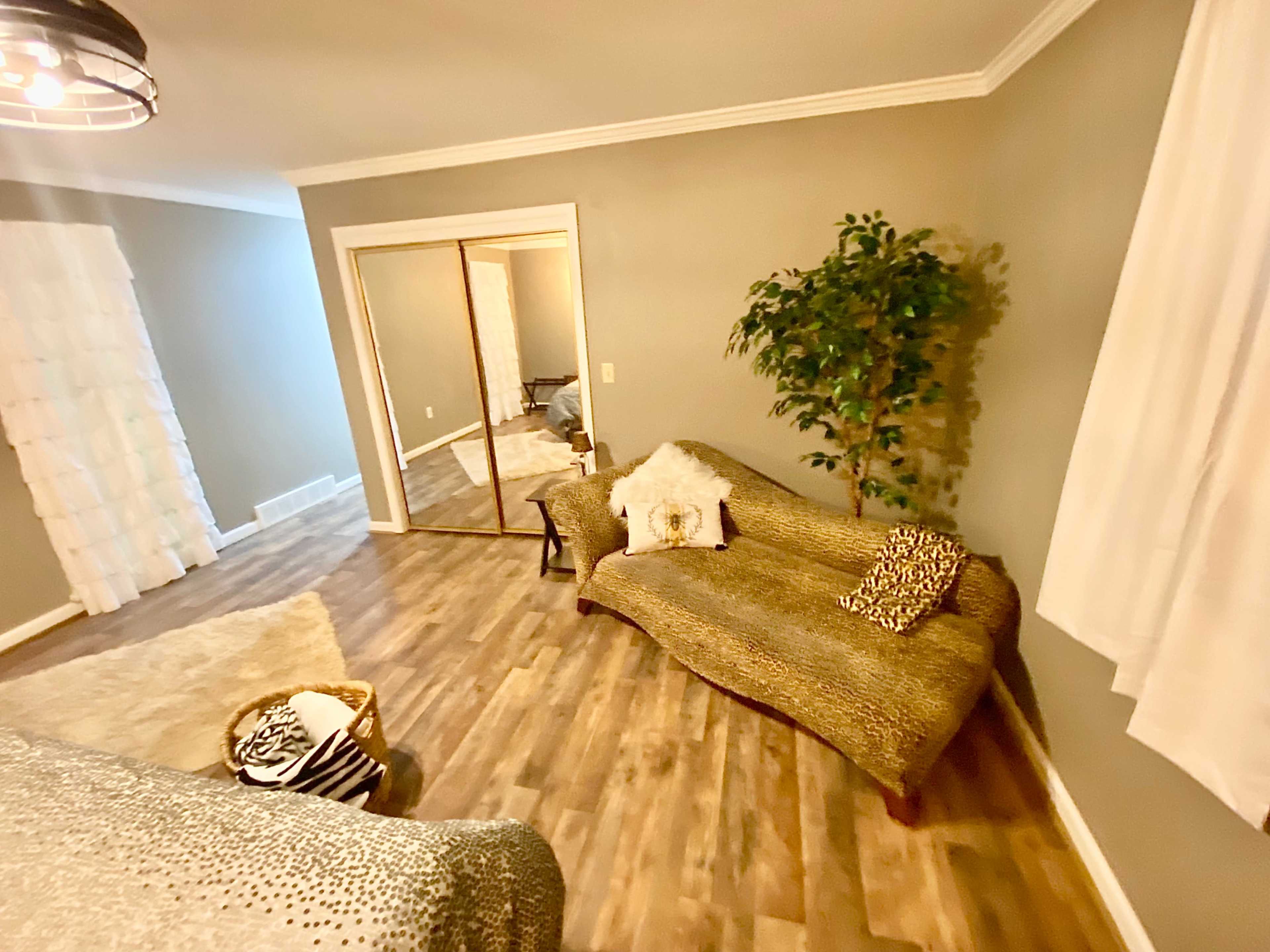 The room features a patterned sofa, a large mirror, and a potted plant against gray walls and wooden flooring.